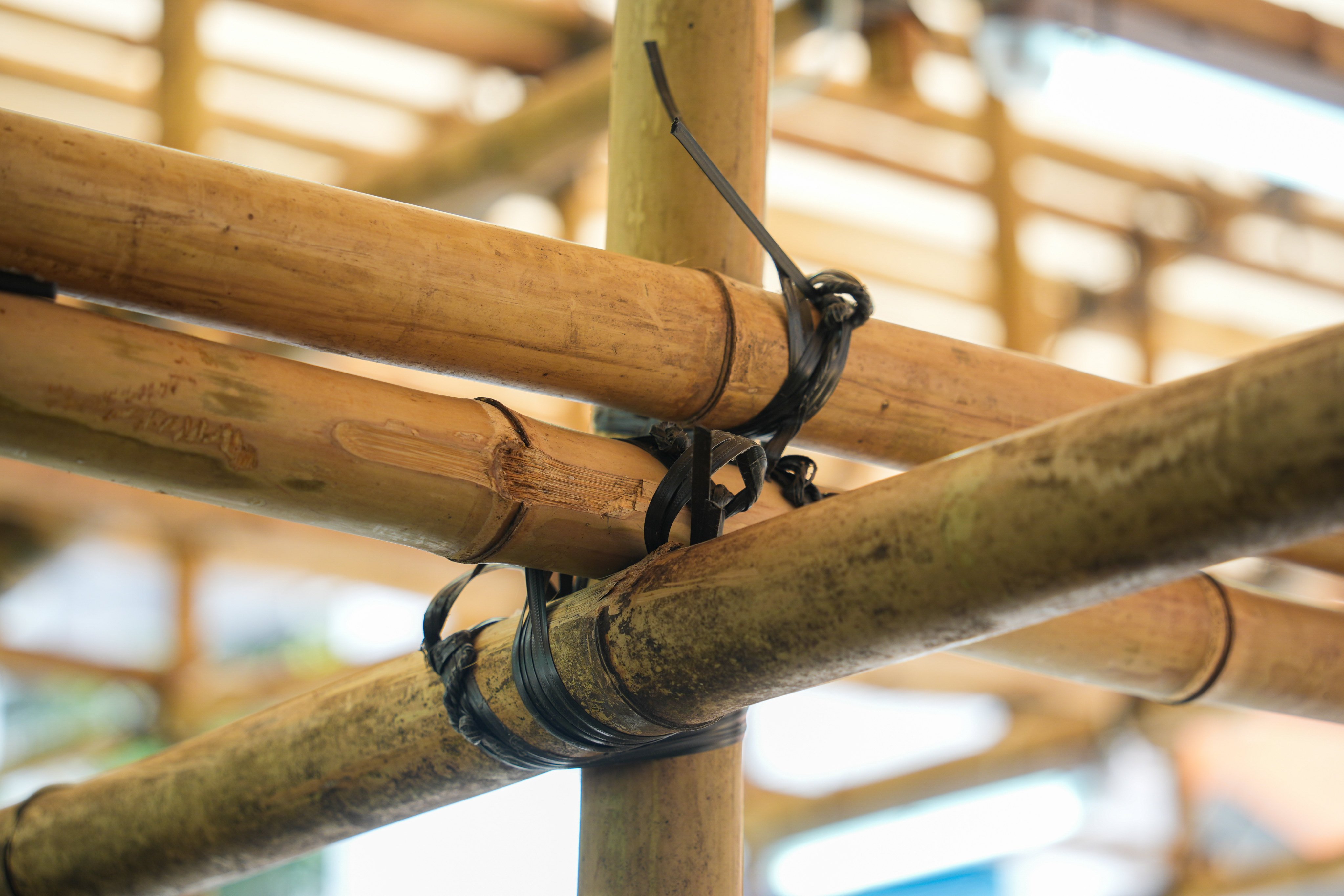 Bamboo poles are seen used in the construction of a pavilion in Sai Ying Pun, Hong Kong. Bamboo is used in everything from construction to food throughout Asia. Photo: Eugene Lee