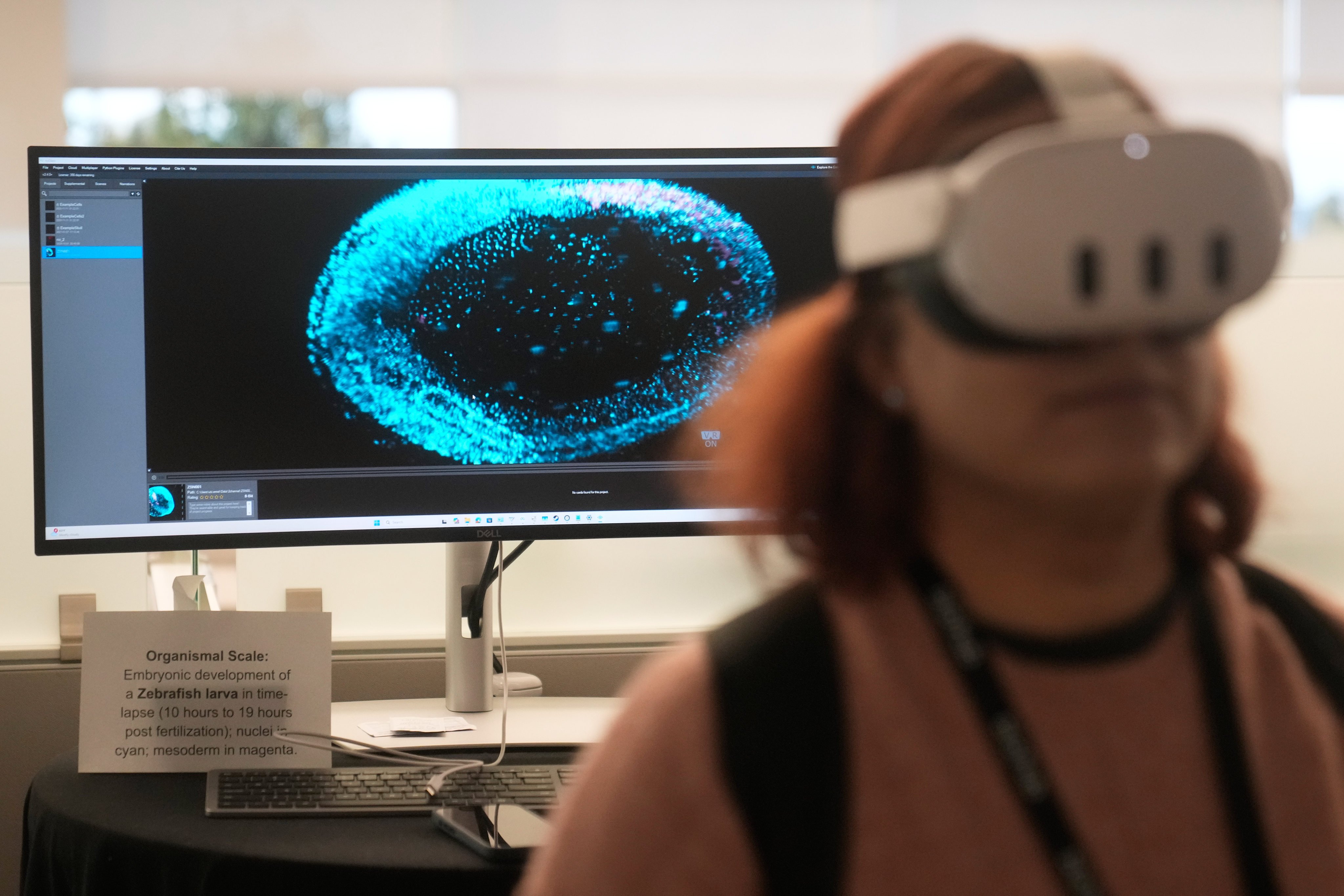 A visitor tries a Meta Quest 3 virtual reality headset. Photo: AP