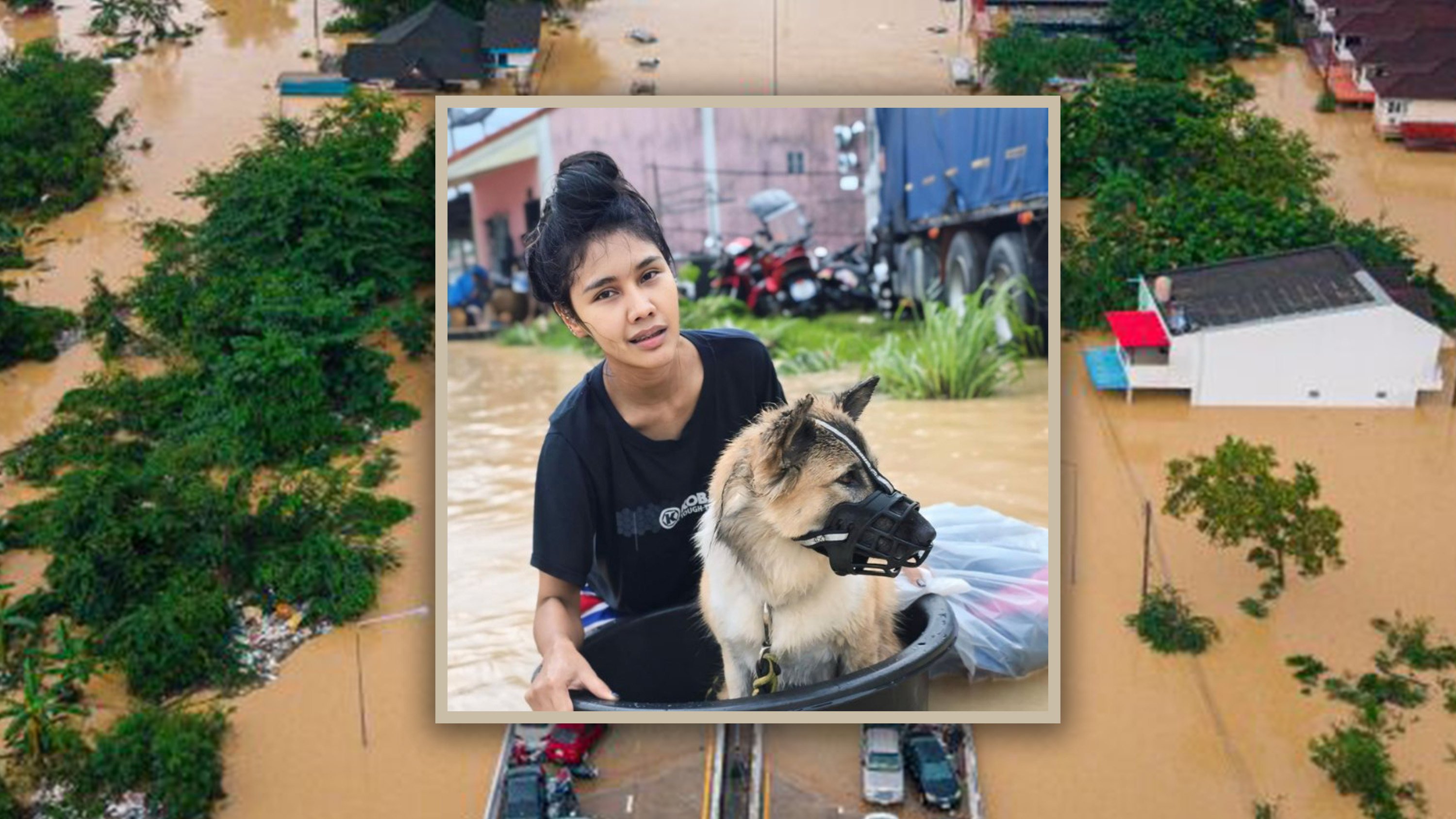 A Thai woman received online praise for staying on a rooftop with her dog and cat for three days during floods, refusing rescue unless her pets could join her. Photo: AP/FB@NewJazz Looknew