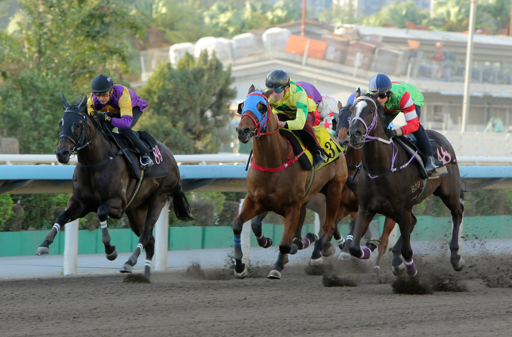 Top Dragon (outside) wins a recent dirt trial.
