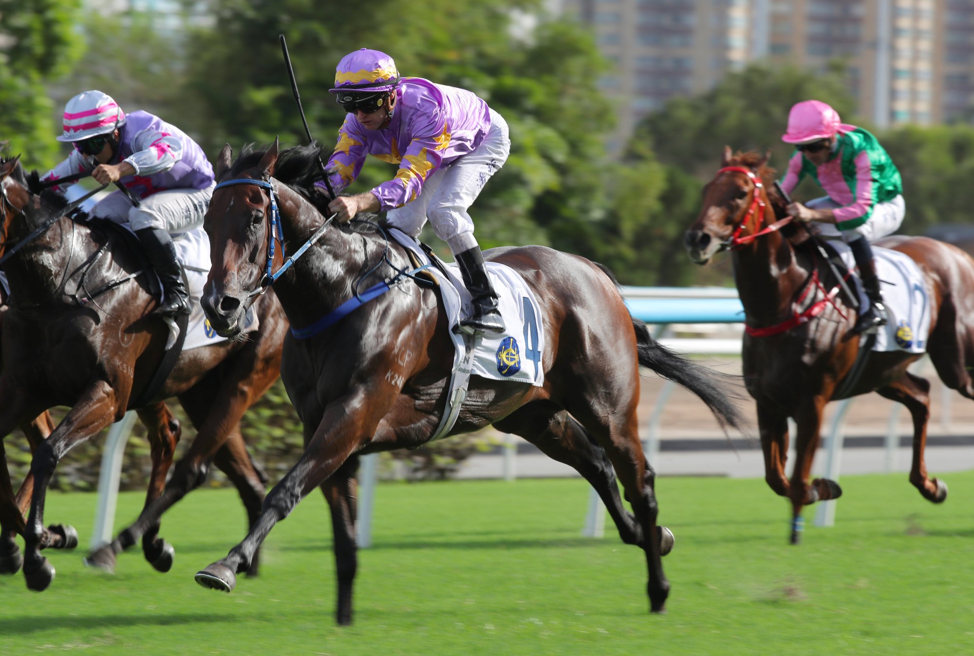 Little Paradise wins first up under Zac Purton.