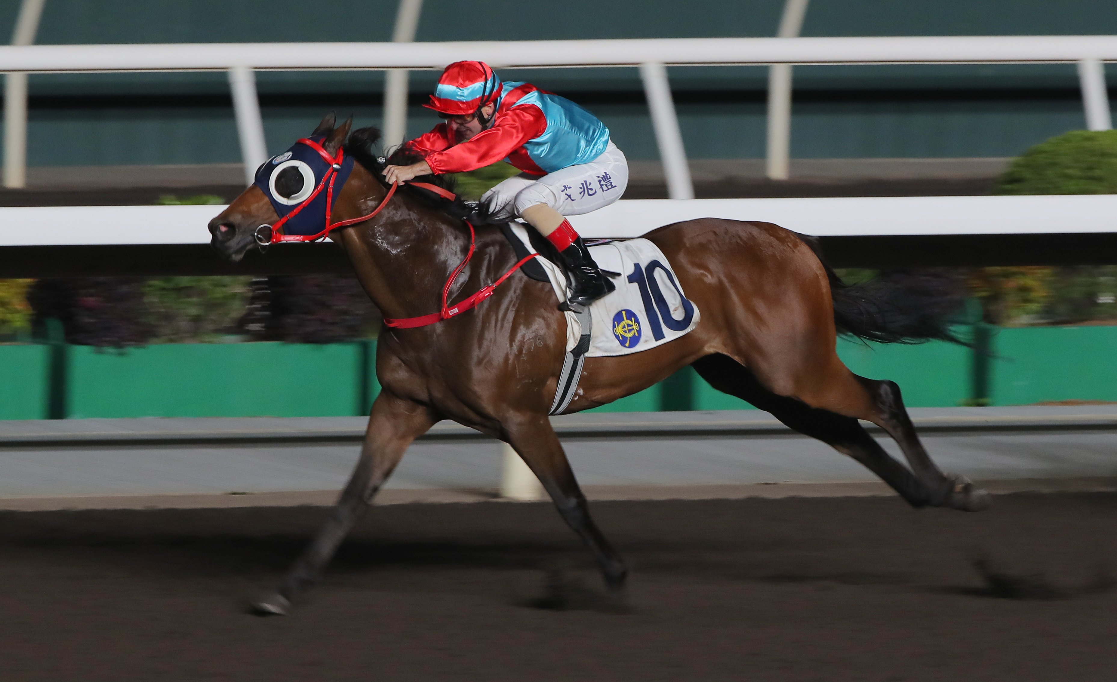 Cheer For South wins at Sha Tin in March. Photos: Kenneth Chan