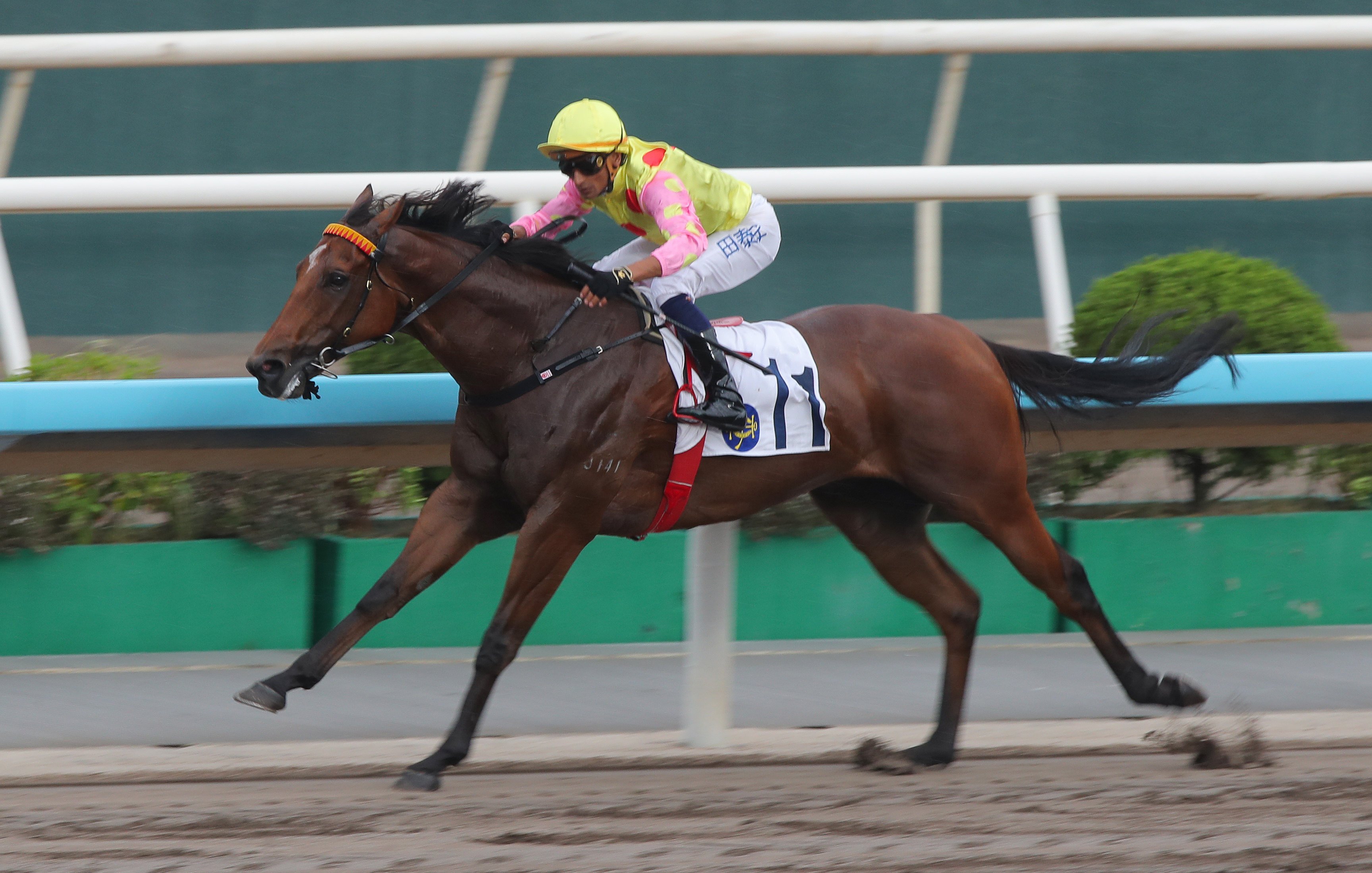 Karis Teetan boots home Sing Dragon on the dirt in October. Photos: Kenneth Chan