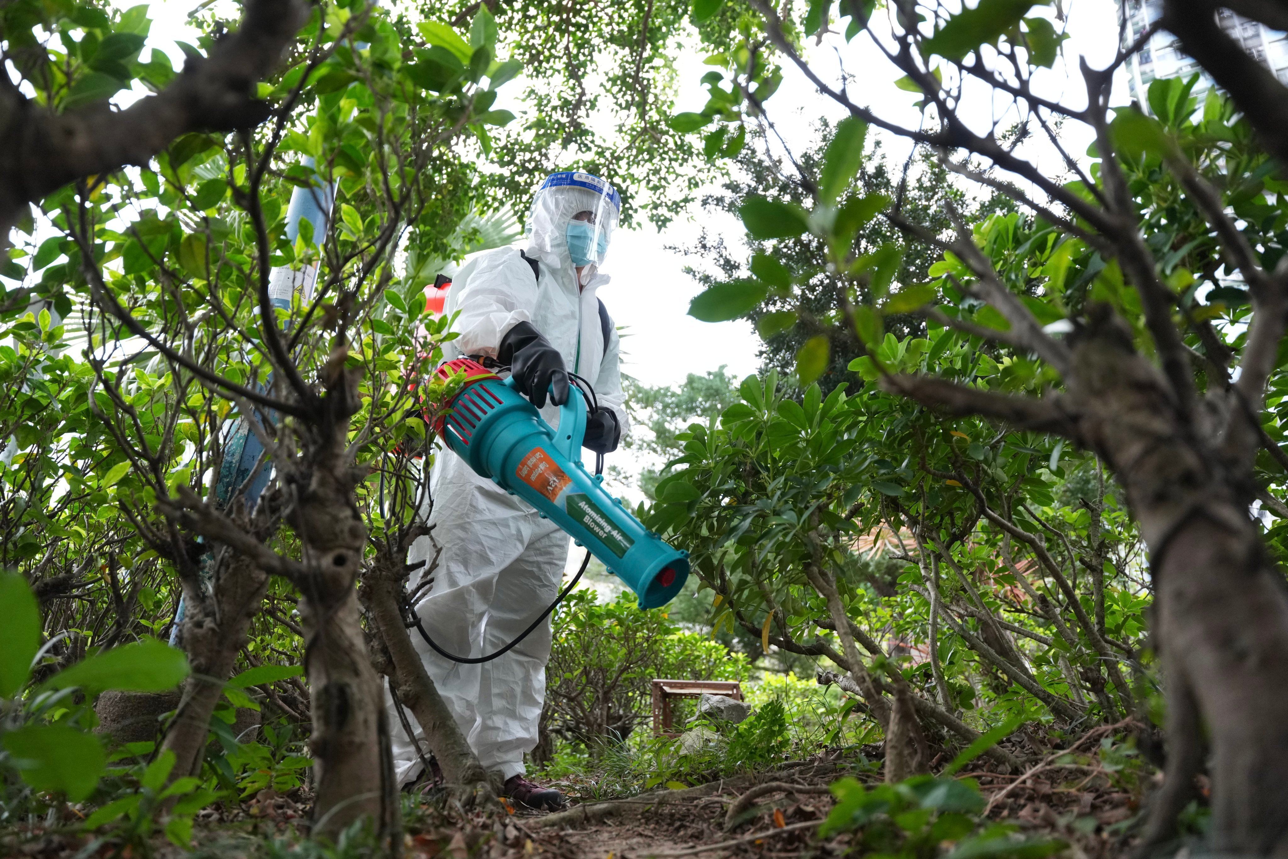 A 67-year-old woman has been confirmed as the 10th locally acquired case of chikungunya fever. Photo: Karma Lo