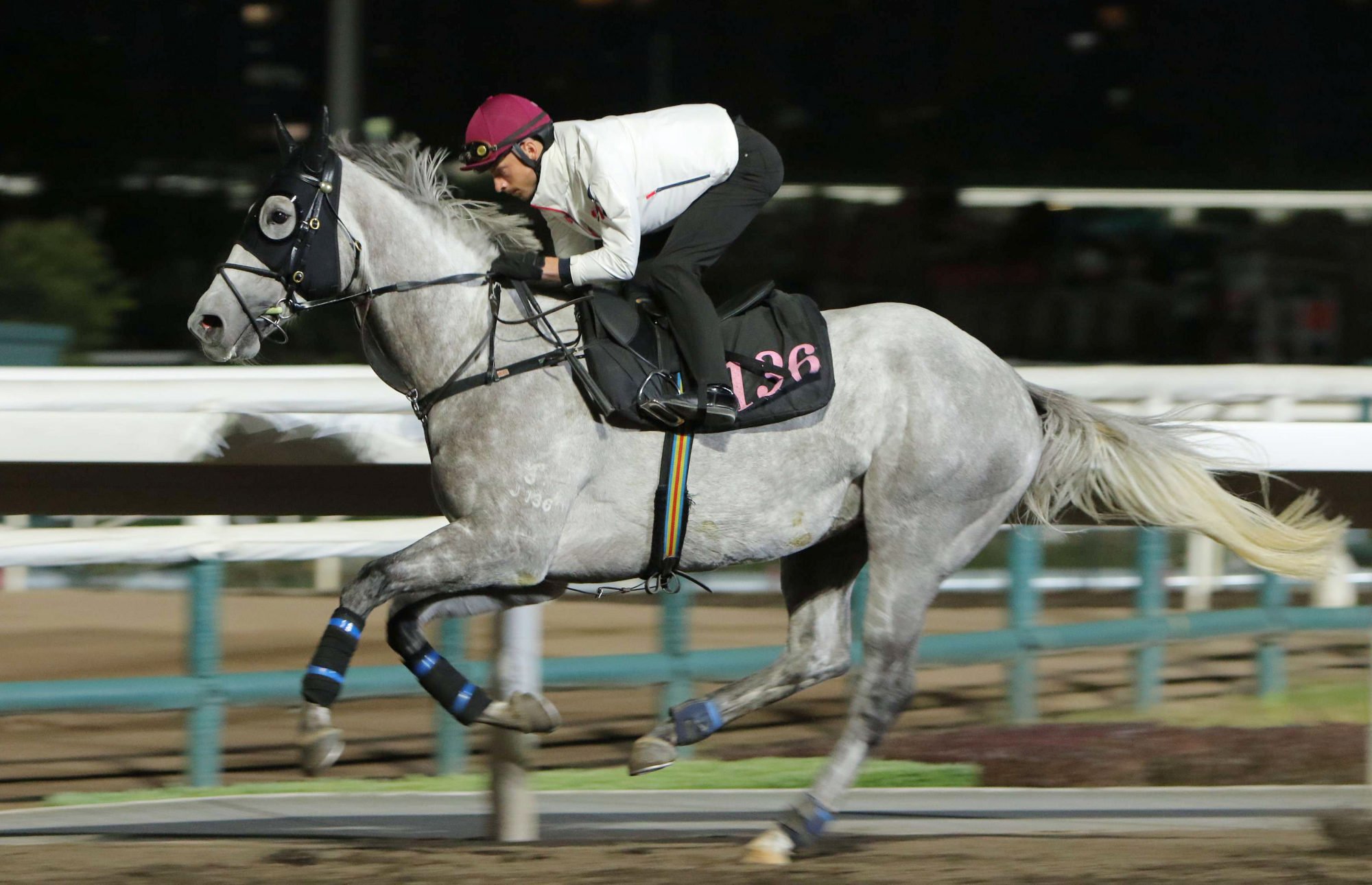 Talents Ambition gallops on the Sha TIn dirt.