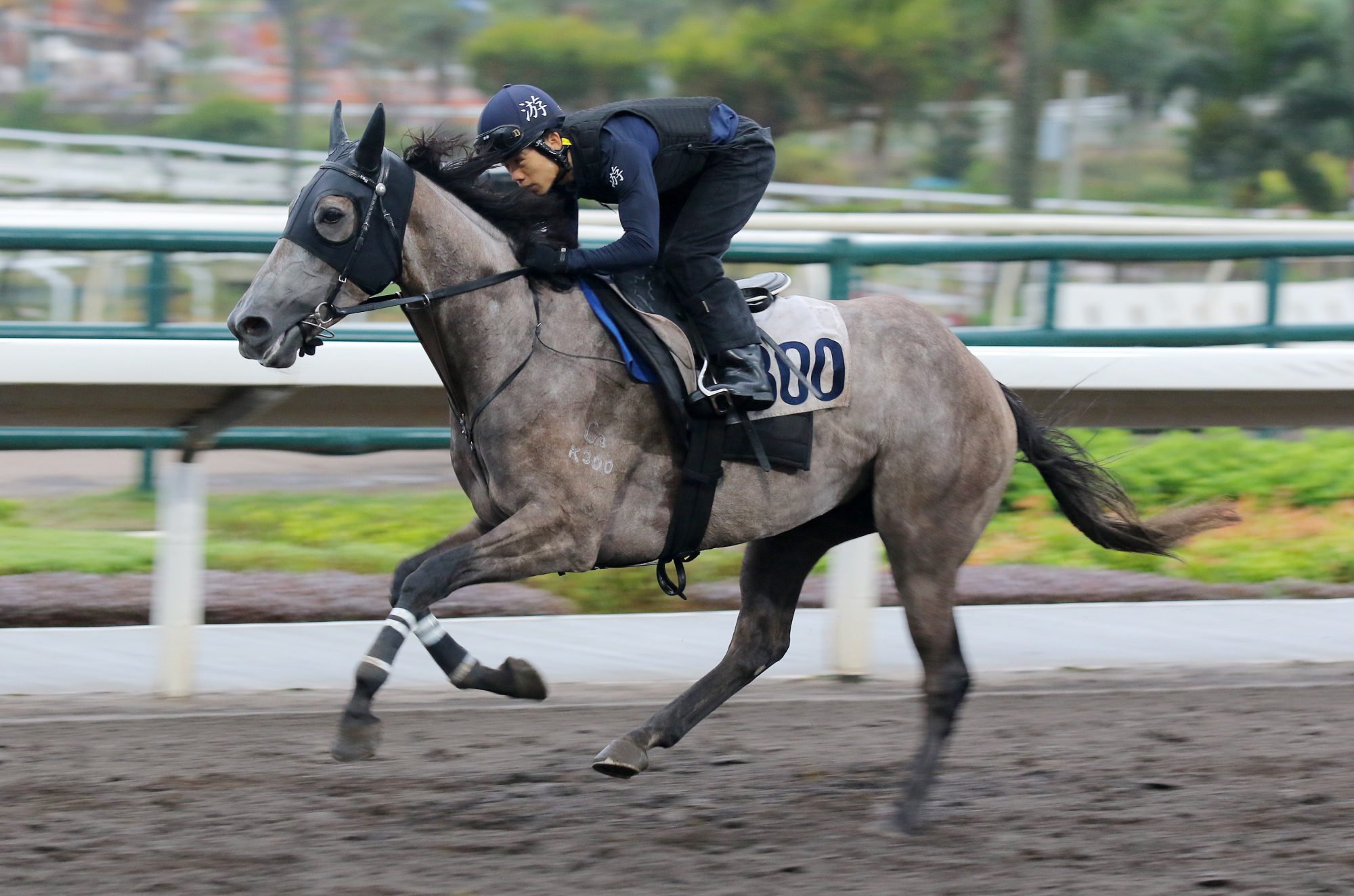 Kyrus Treasure gallops at Sha Tin last month. Kyrus Treasure gallops at Sha Tin last month.