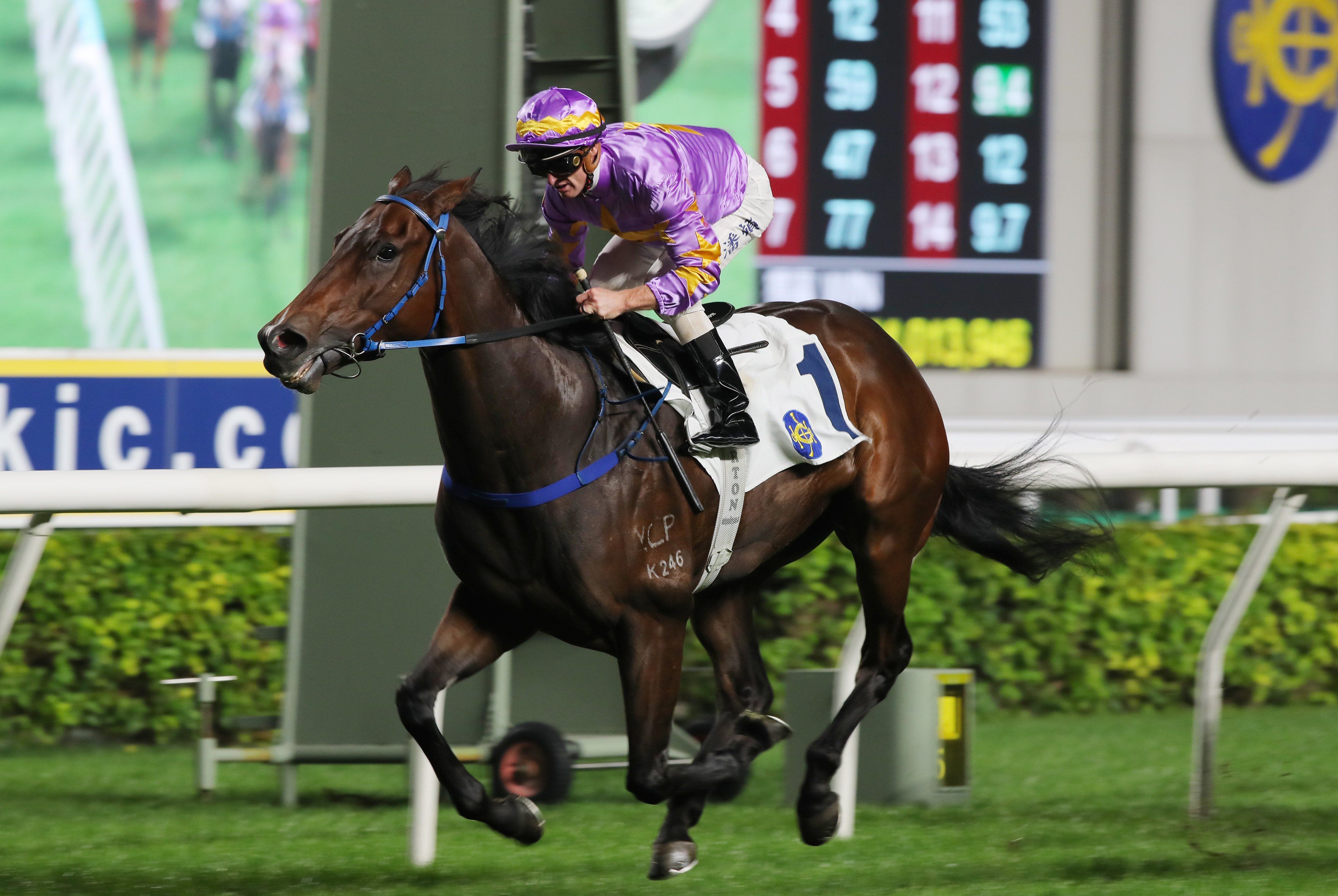 Little Paradise salutes under Zac Purton at Sha Tin on Sunday. Photos: Kenneth Chan