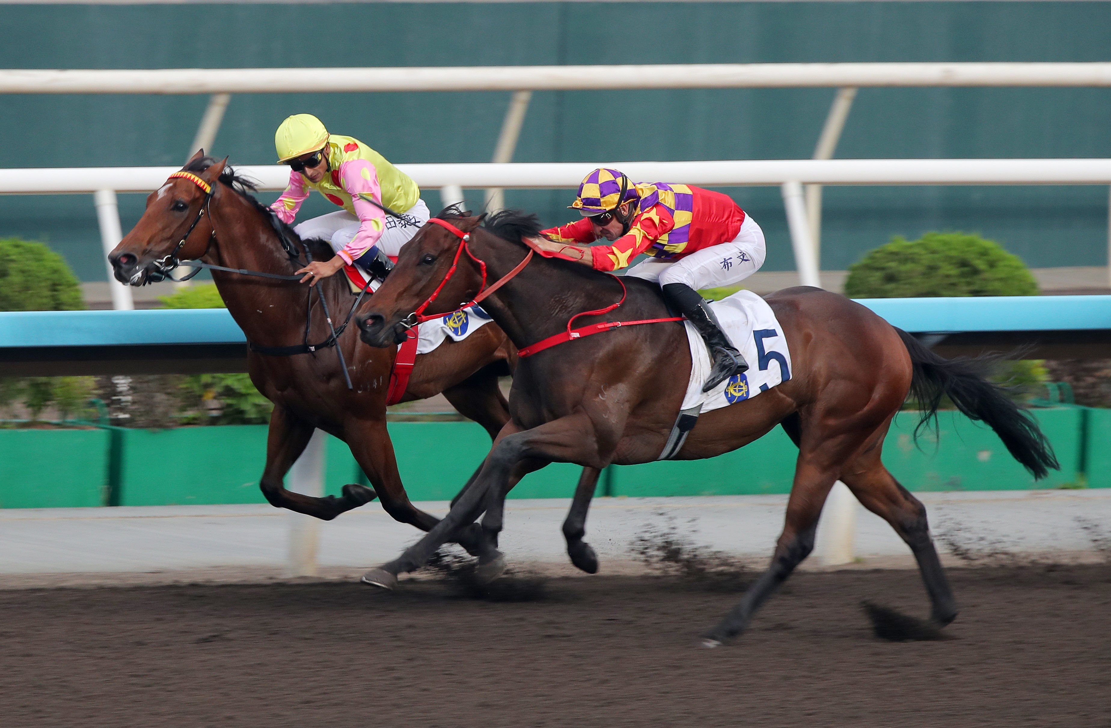 Hugh Bowman (outside) gets up late aboard Gorgeous Win at Sha Tin. Photos: Kenneth Chan