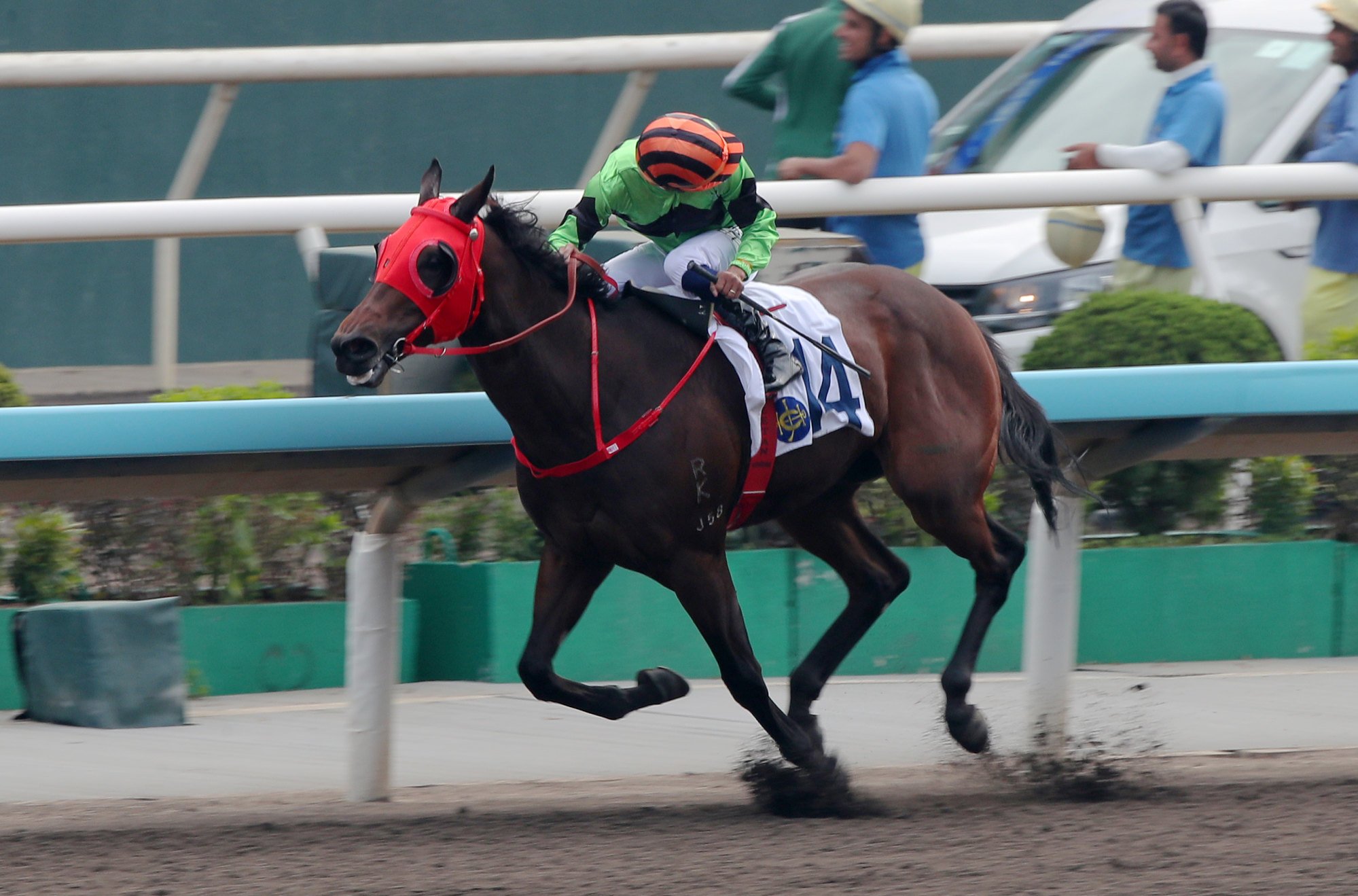 Karis Teetan takes a look around on Foremost Teddy.