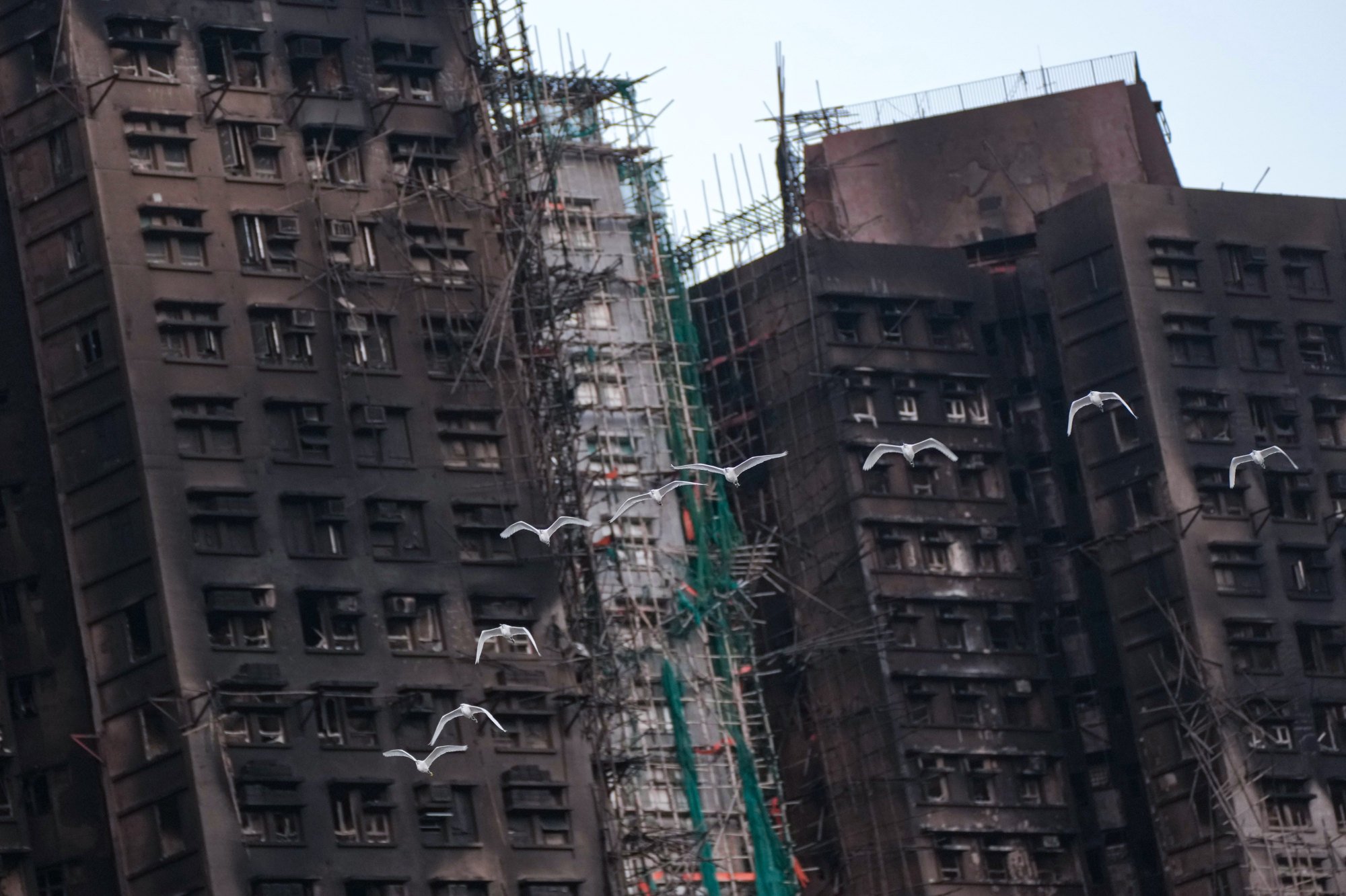 The fatal blaze at Wang Fuk Court broke out on November 26. Photo: Karma Lo The fatal blaze at Wang Fuk Court broke out on November 26. Photo: Karma Lo