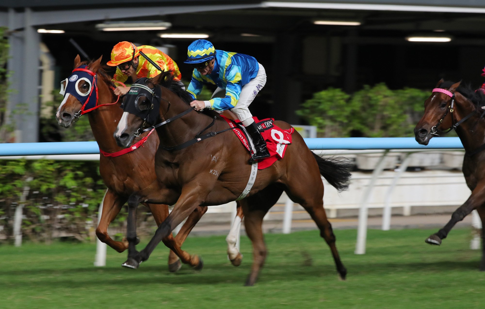 Akashvani wins at Happy Valley in October.