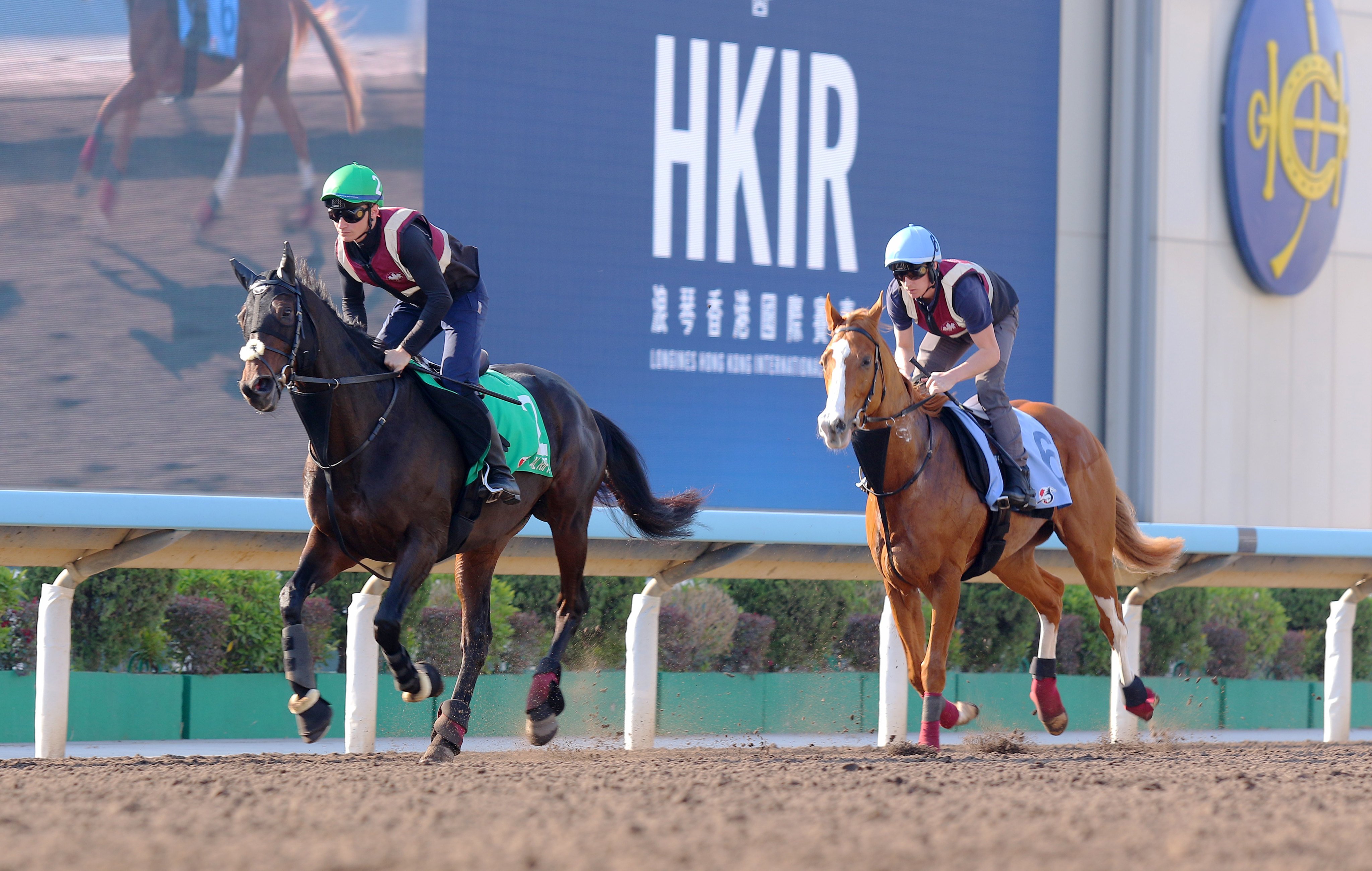 Al Riffa (left) and Galen gallop at Sha Tin. Photos: Kenneth Chan