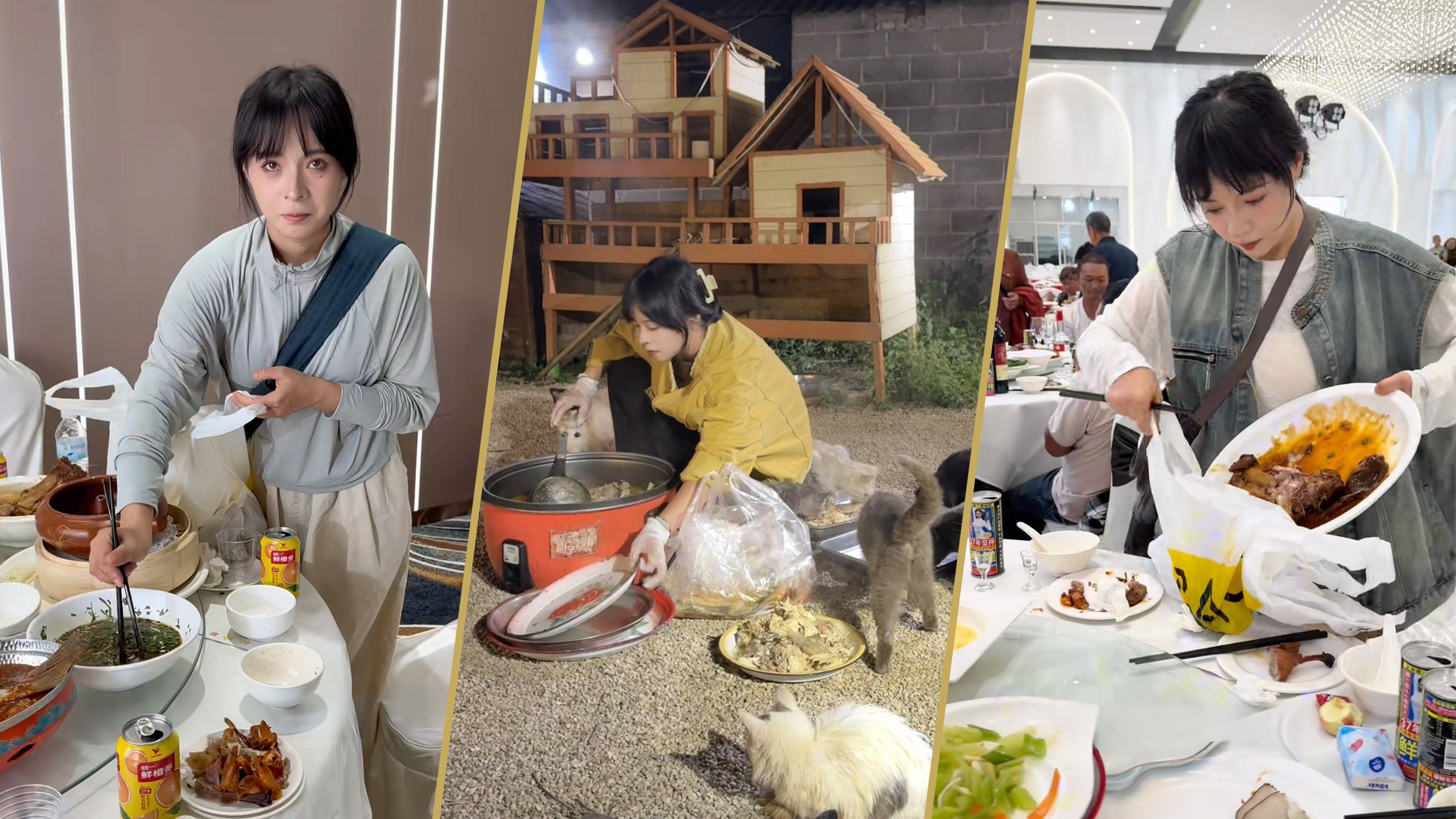 A young woman with social anxiety moved many by “crashing” 100 weddings to collect leftovers for 120 stray cats, inspiring a following of 1.5 million as she shared her journey. Photo: Douyin