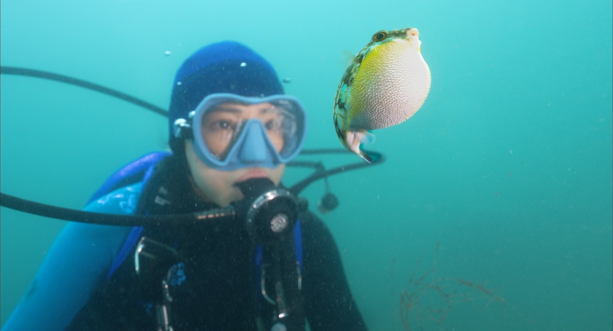Diver and environmentalist Hidy Yu in a still from the Hong Kong documentary Never Too Late. Photo: Edko Films