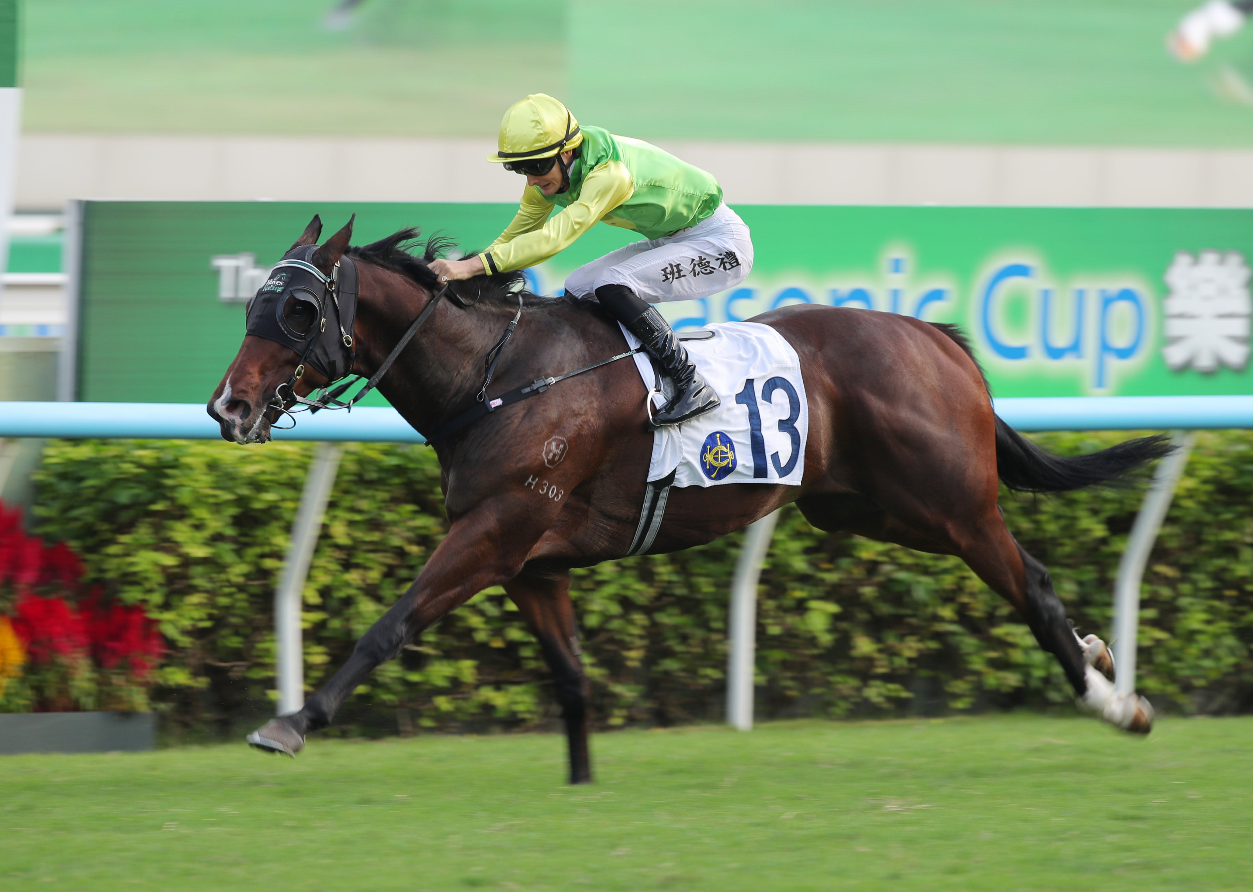 Tomodachi Kokoroe has made a remarkable rise from winning in Far North Queensland to Sha Tin. Photo: Kenneth Chan