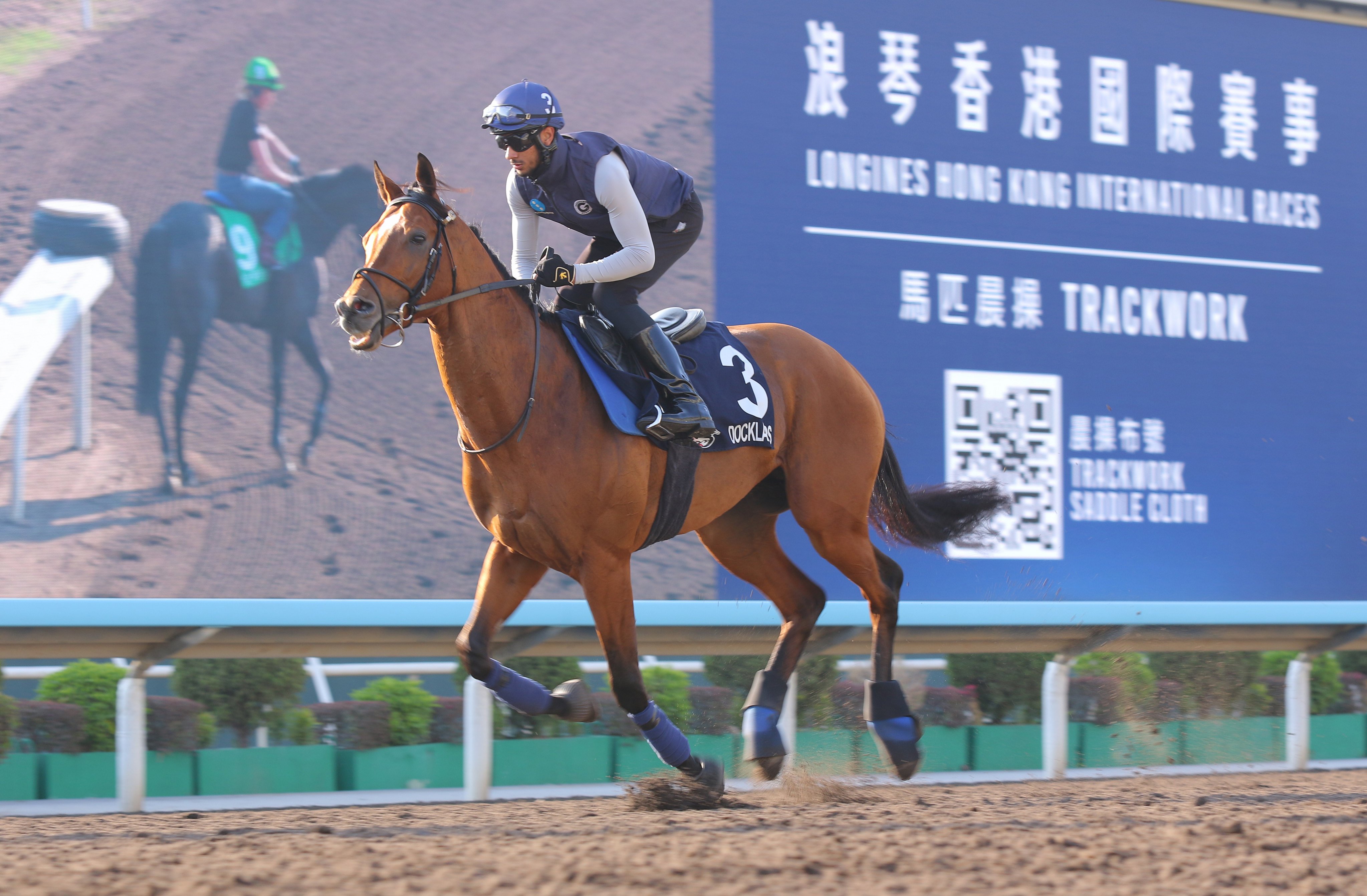 Docklands gallops on the Sha Tin dirt ahead of Sunday’s Hong Kong Mile. Photos: Kenneth Chan