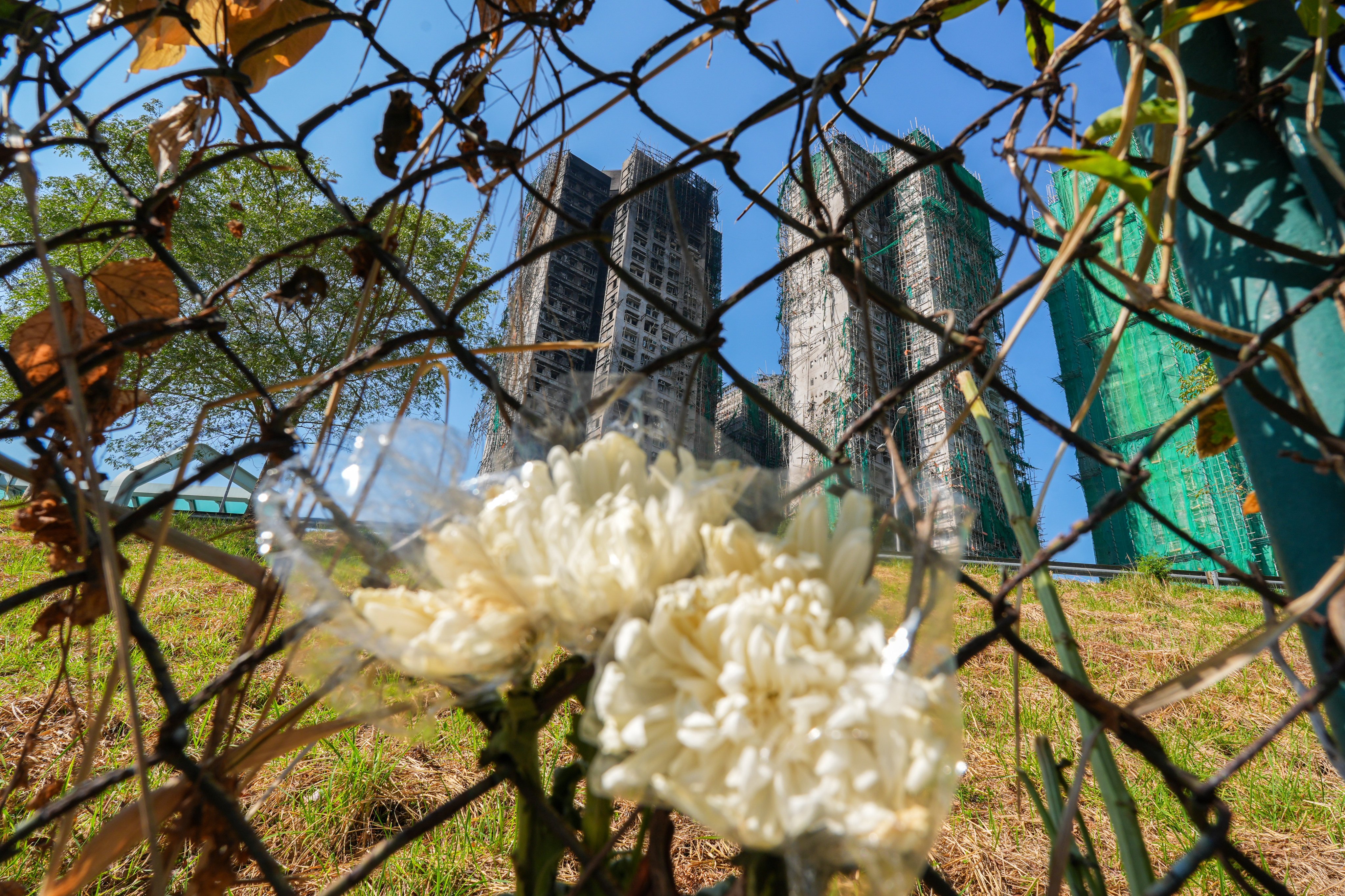 The blaze tore through seven of the eight buildings at Wang Fuk Court. Photo: Eugene Lee