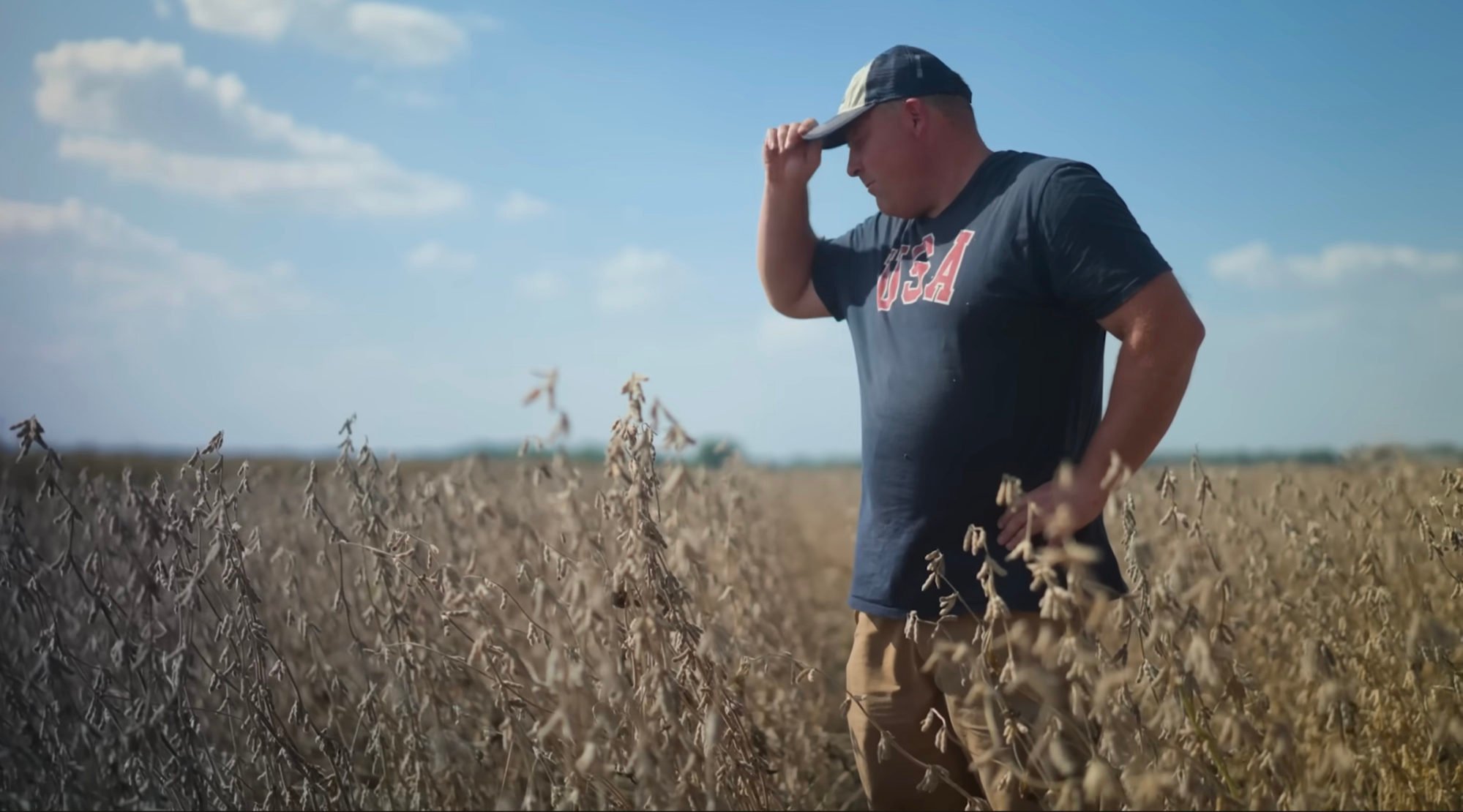 John Bartman, a soybean farmer, surveys his crop on his 900-acre farm in Illinois, the US. Photo: Handout John Bartman, a soybean farmer, surveys his crop on his 900-acre farm in Illinois, the US. Photo: Handout