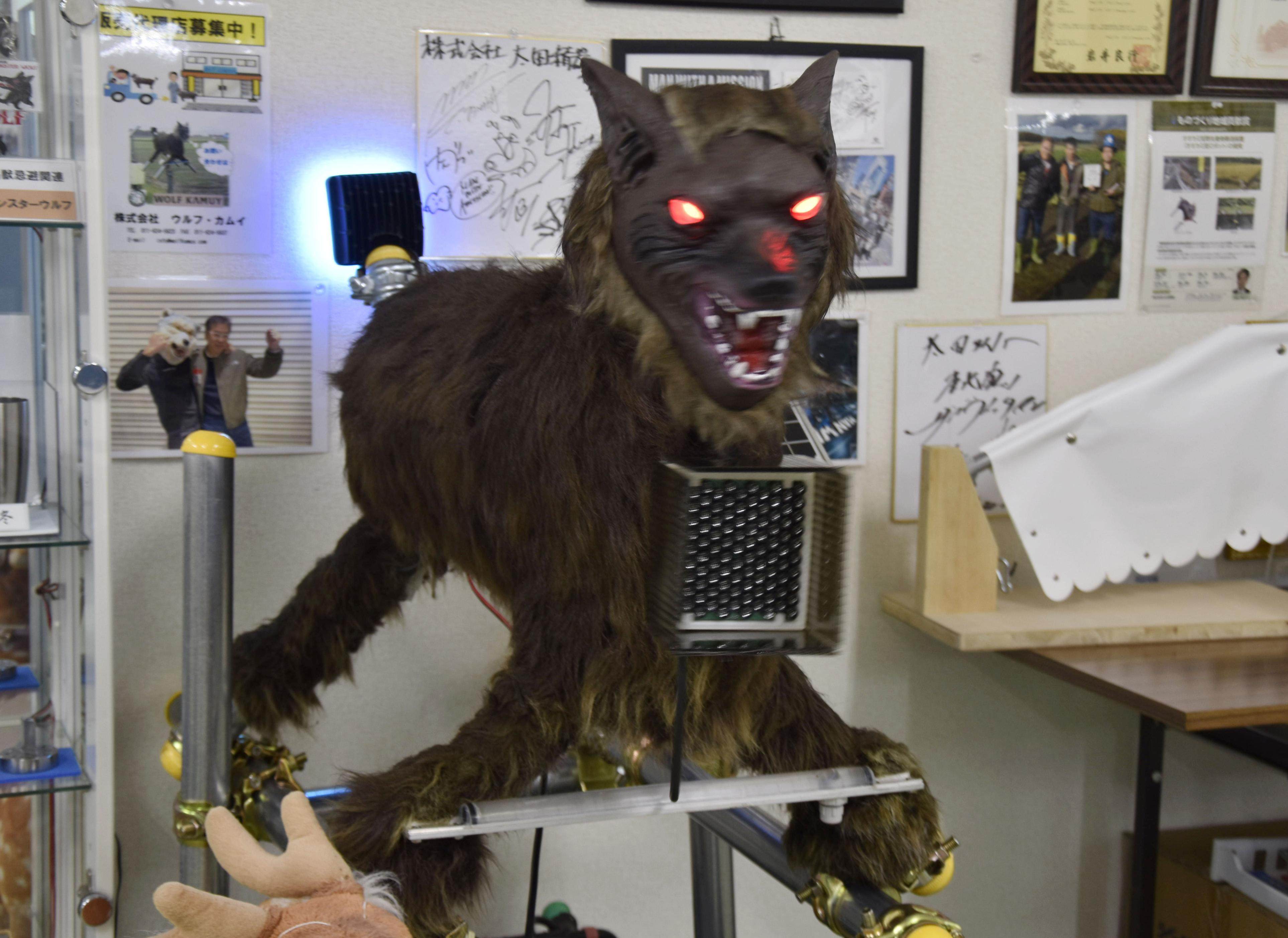 The Monster Wolf robot emits LED light and loud sounds to scare off wild animals when activated. Photo: Kyodo