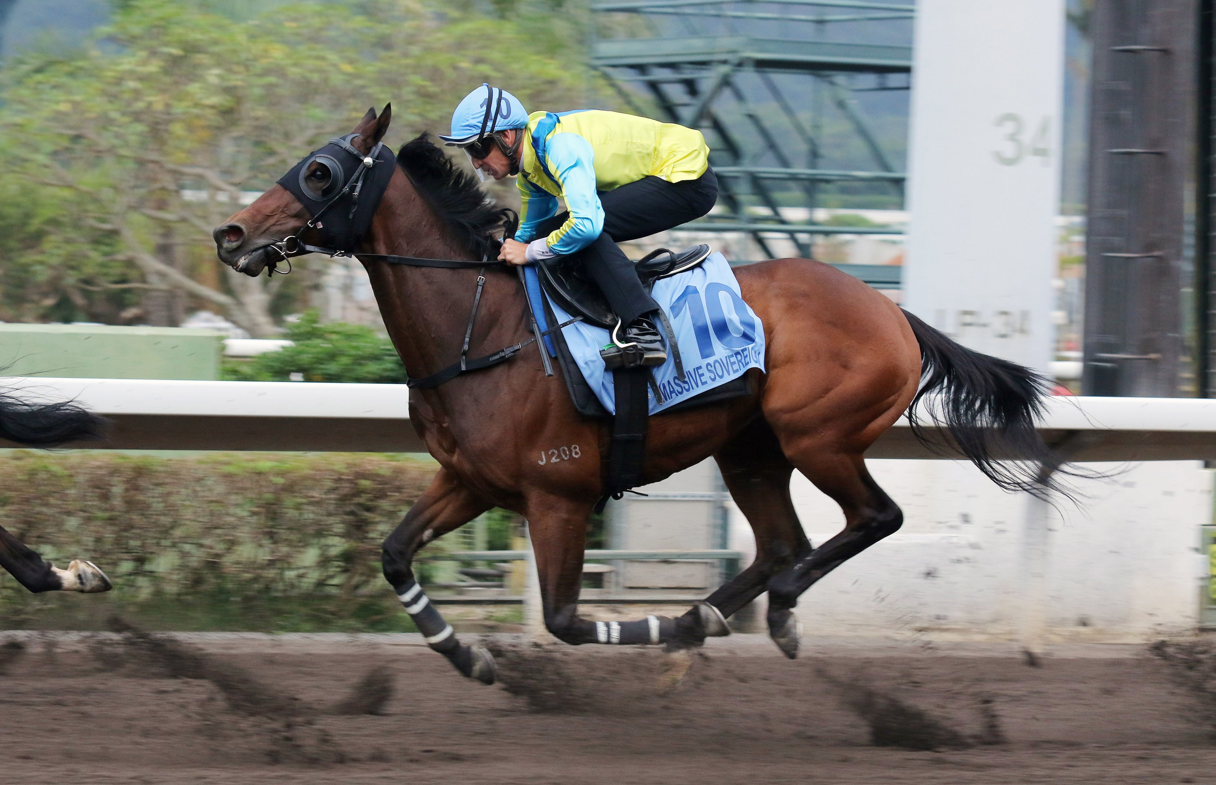 Massive Sovereign trials at Sha Tin recently. Photo: Kenneth Chan