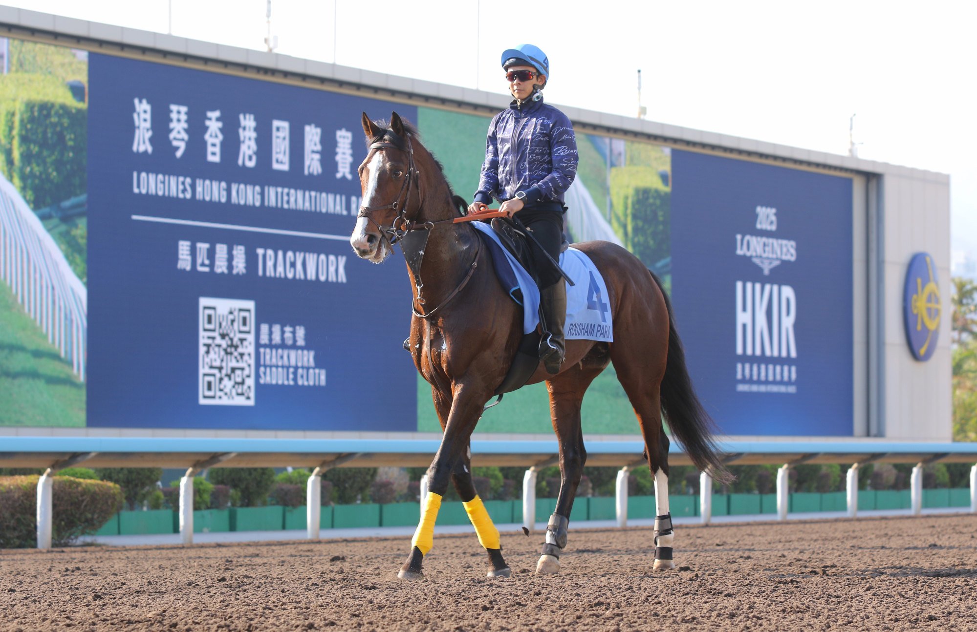 Rousham Park prepares to take on Romantic Warrior in the Hong Kong Cup.
