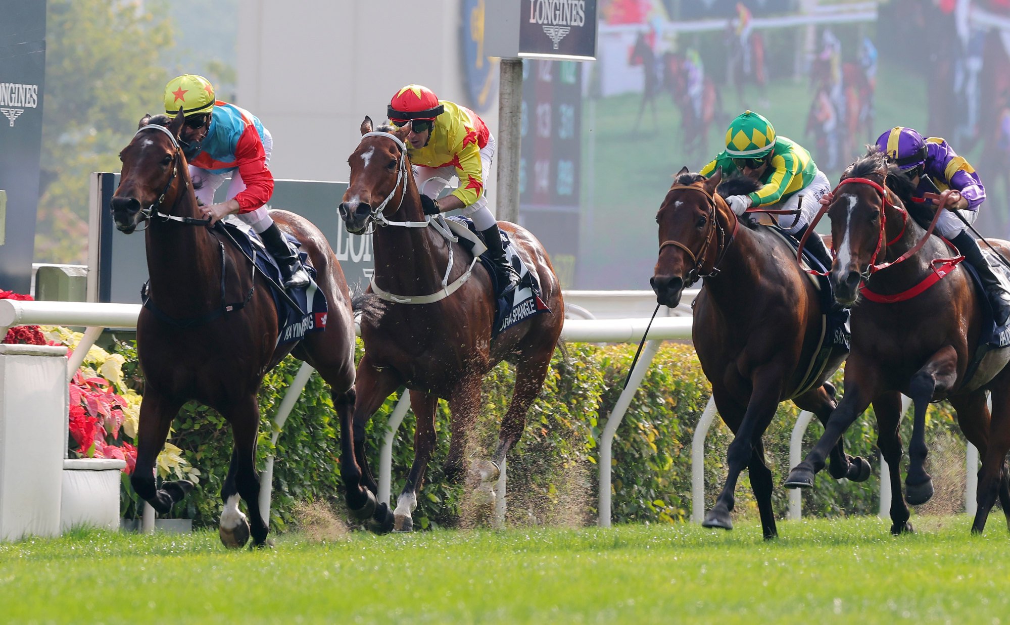 Satono Reve (green and yellow) chases Ka Ying Rising in last year’s Hong Kong Sprint. Satono Reve (green and yellow) chases Ka Ying Rising in last year’s Hong Kong Sprint.