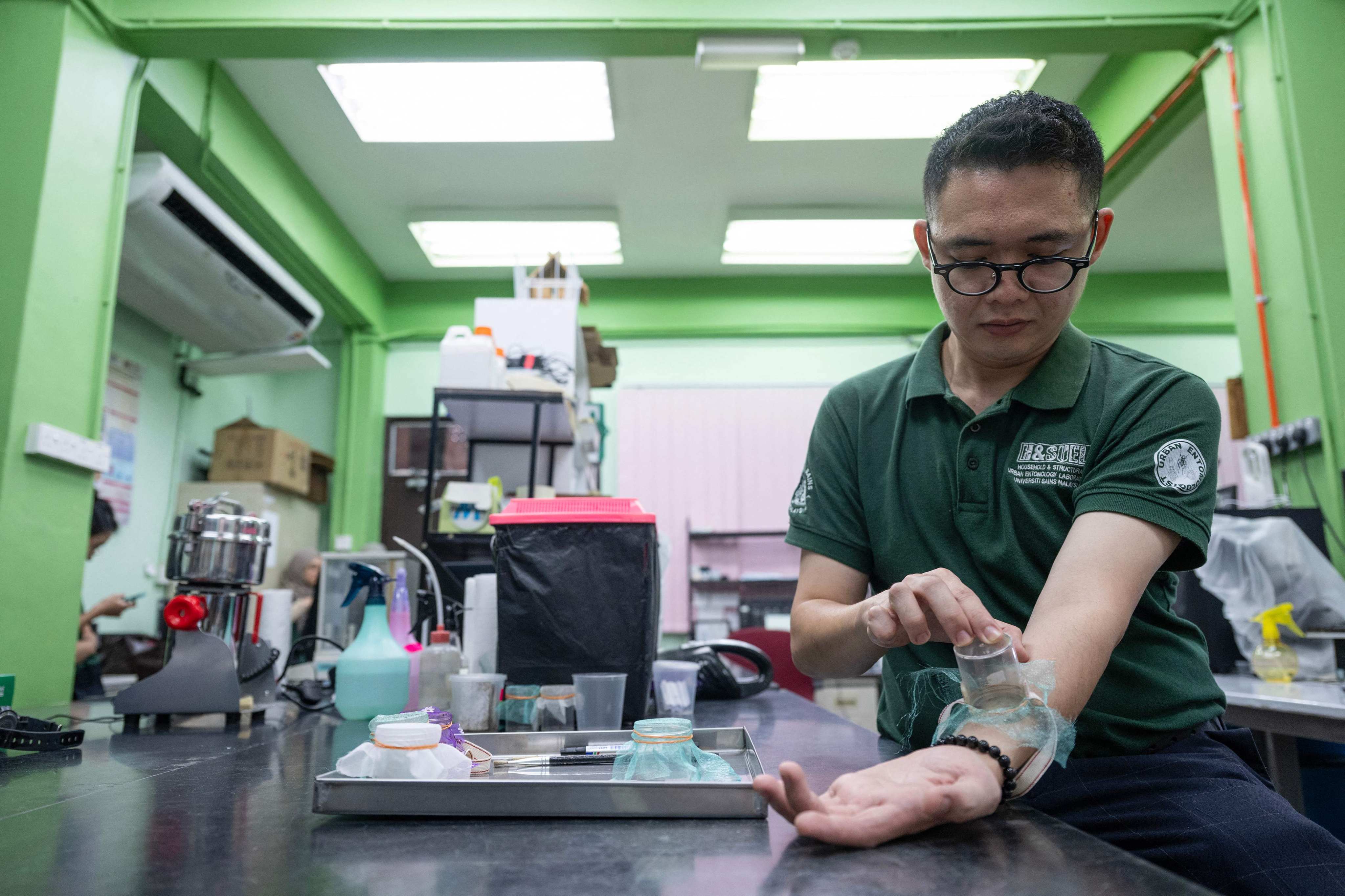 A researcher allows bed bugs to feed on his arm as part of a scientific study at the University of Science Malaysia (USM) in Penang, Malaysia. Photo: AFP