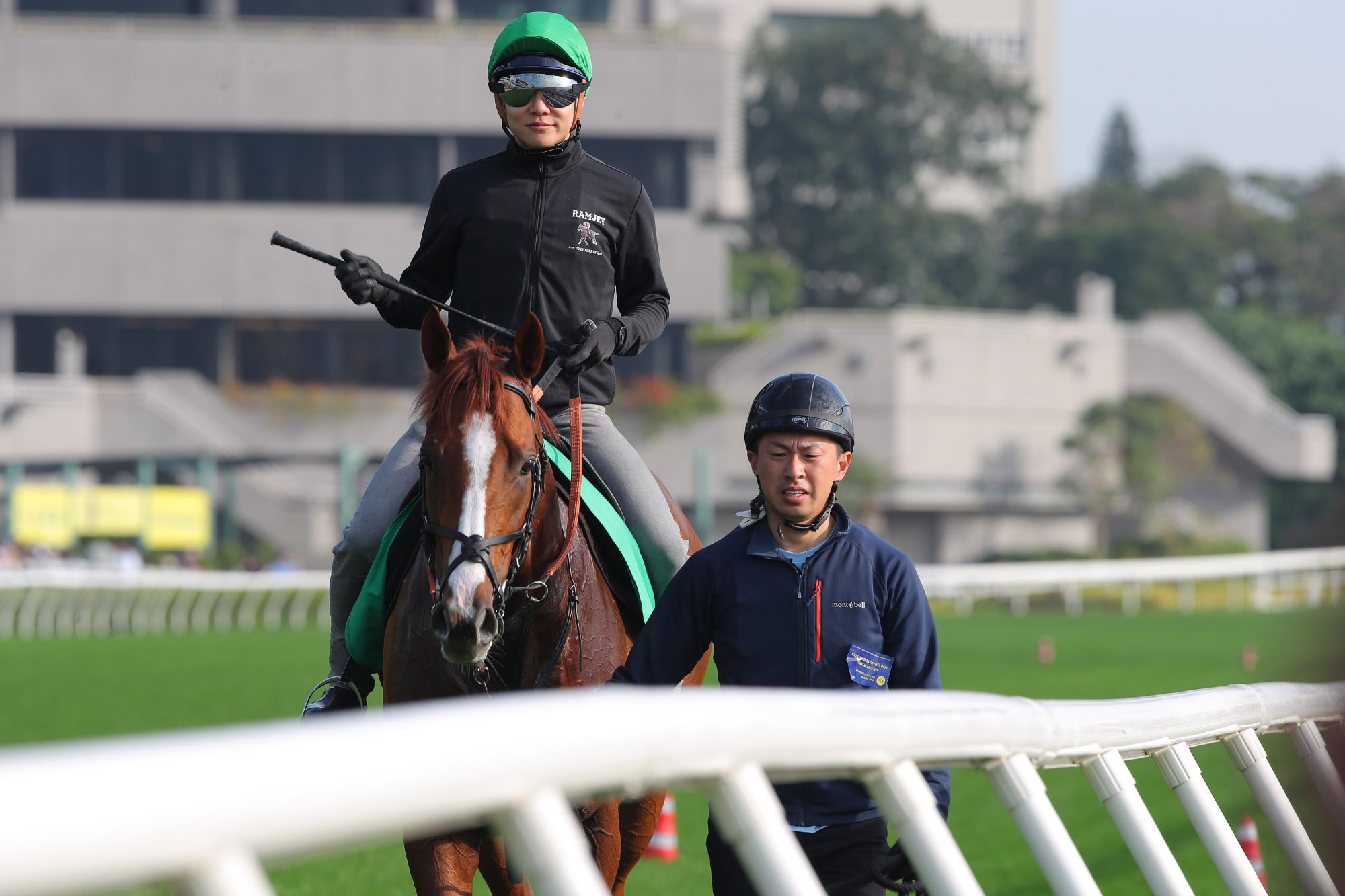 Urban Chic returns after his morning work. Urban Chic returns after his morning work.