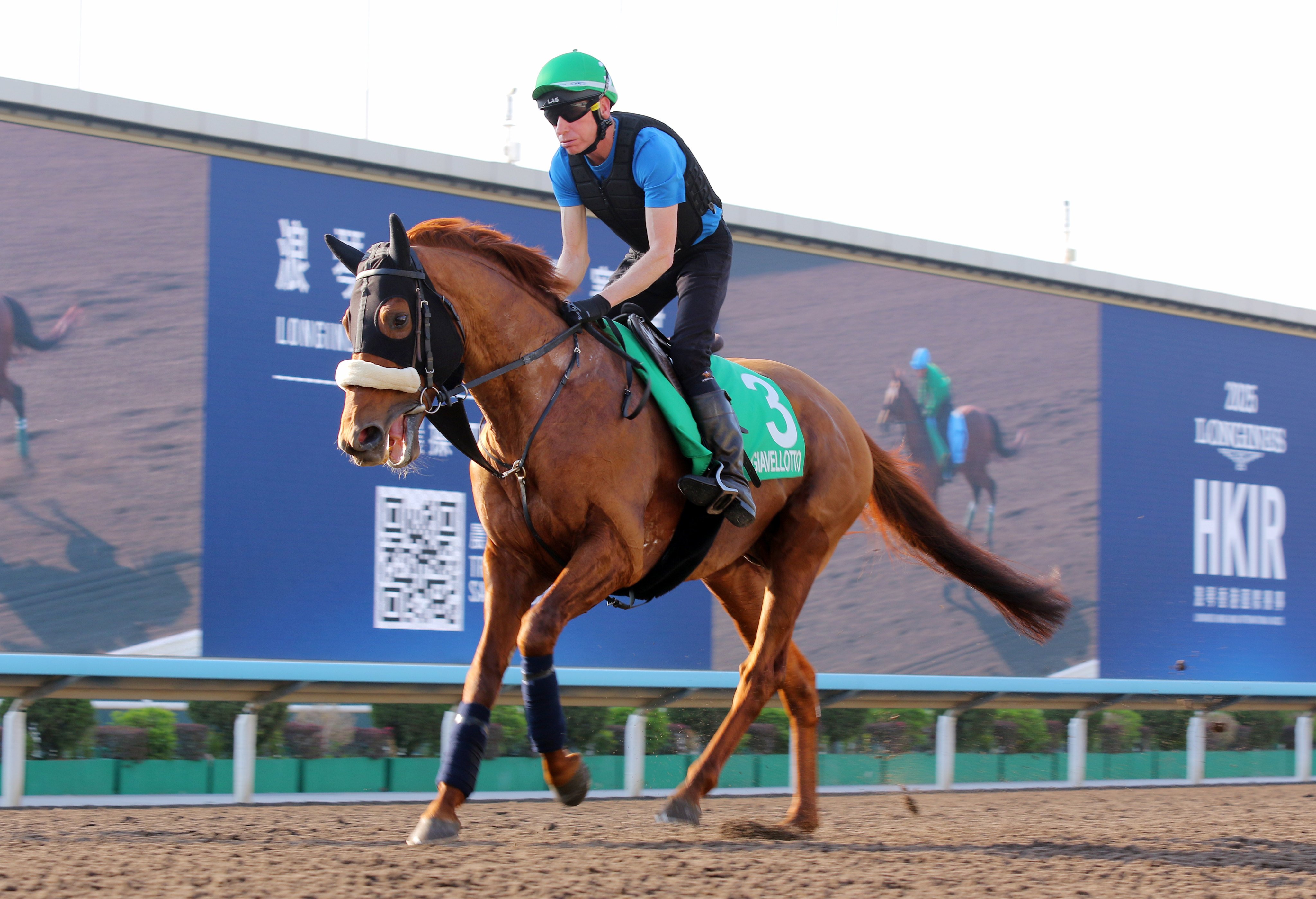 Giavellotto gallops at Sha Tin earlier this week. Photos: Kenneth Chan