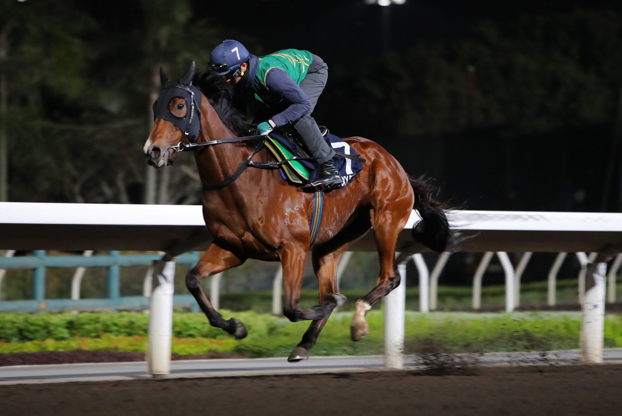 Galaxy Patch gallops at Sha Tin on Thursday morning. Galaxy Patch gallops at Sha Tin on Thursday morning.