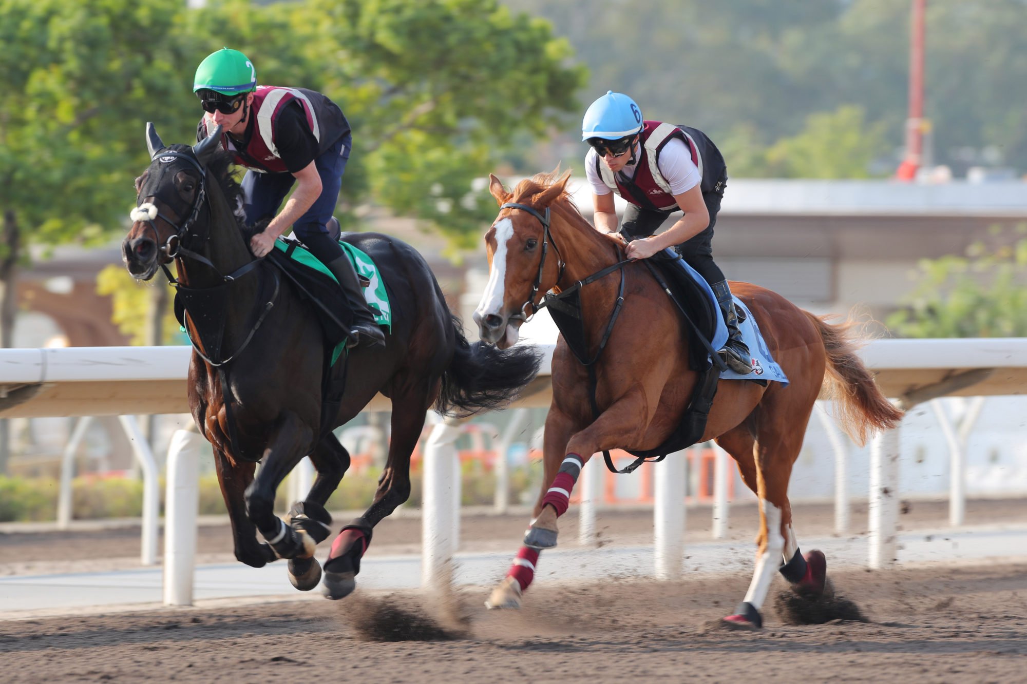 Galen and Dylan Browne McMonagle (right) and Al Riffa gallop at Sha Tin. Galen and Dylan Browne McMonagle (right) and Al Riffa gallop at Sha Tin.