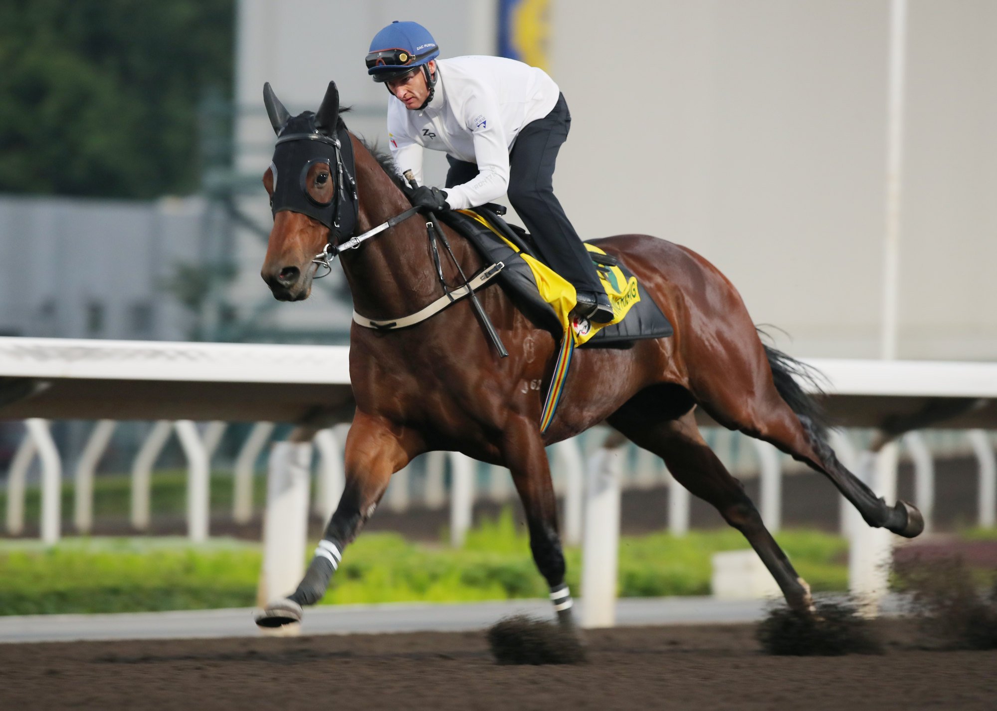 Zac Purton gallops Ka Ying Rising on the dirt earlier this week.