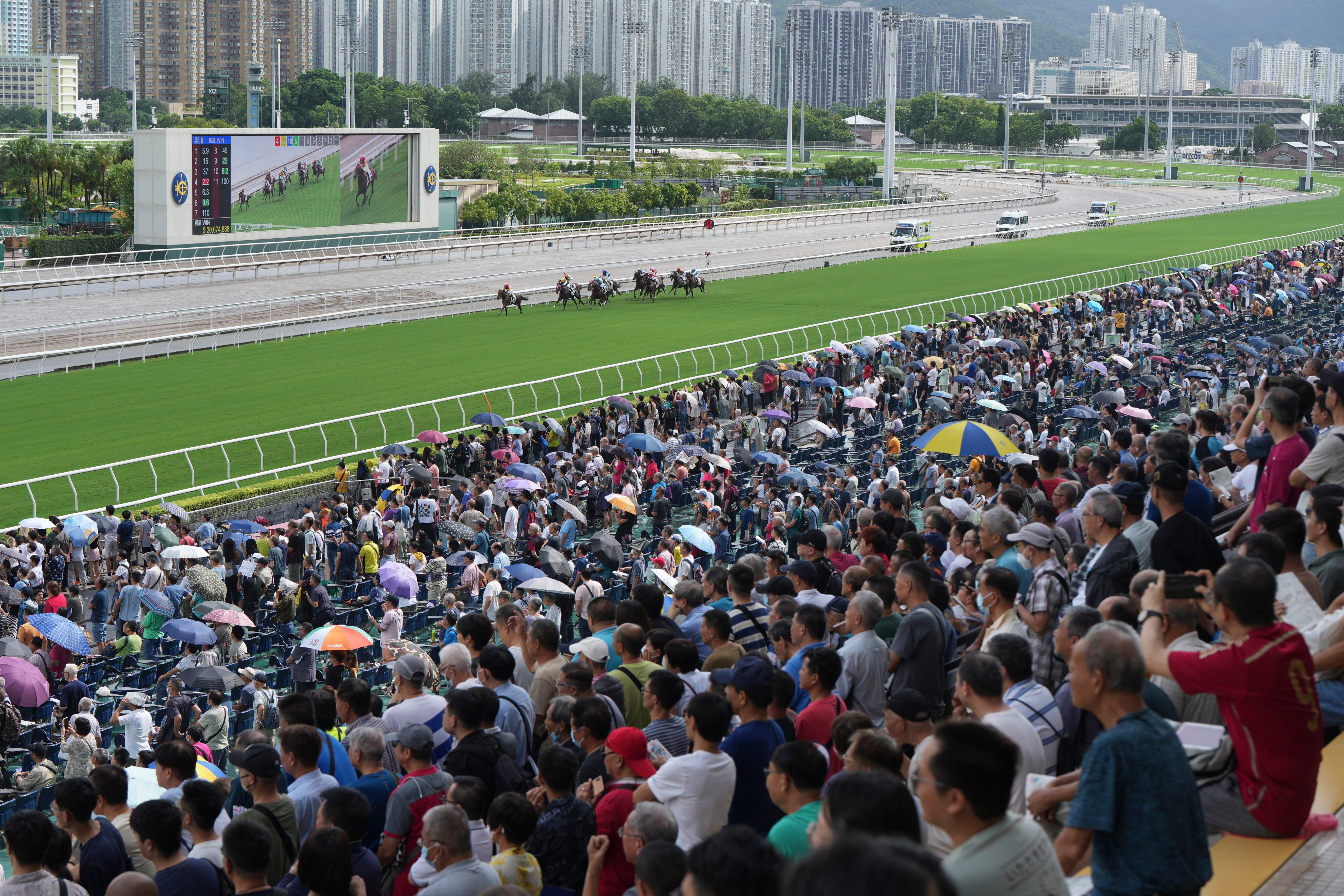Sha Tin will be heaving on Sunday. Photo: Kenneth Chan