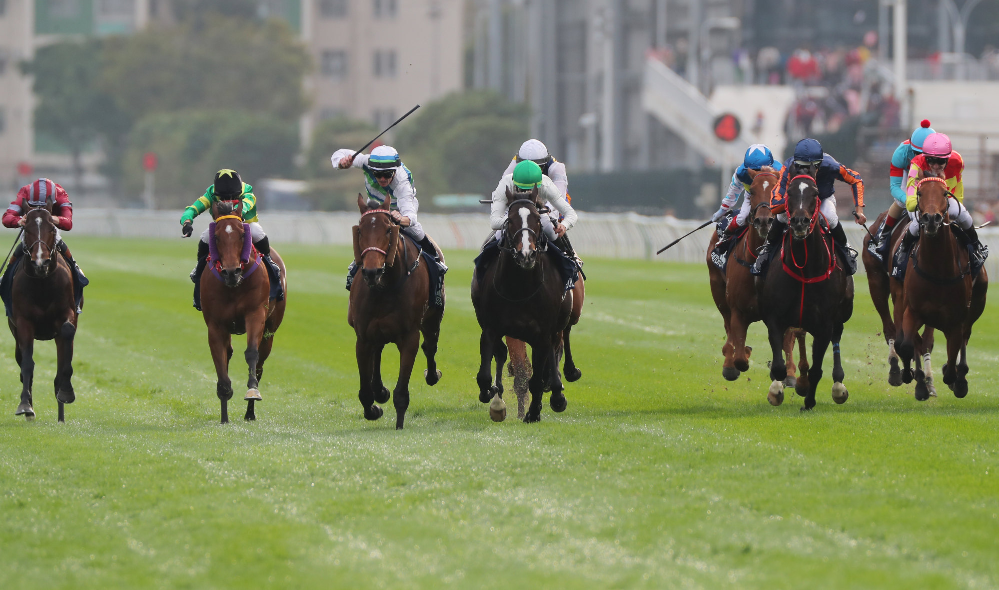 My Wish (far right, red and pink) fails to get involved in the finish.