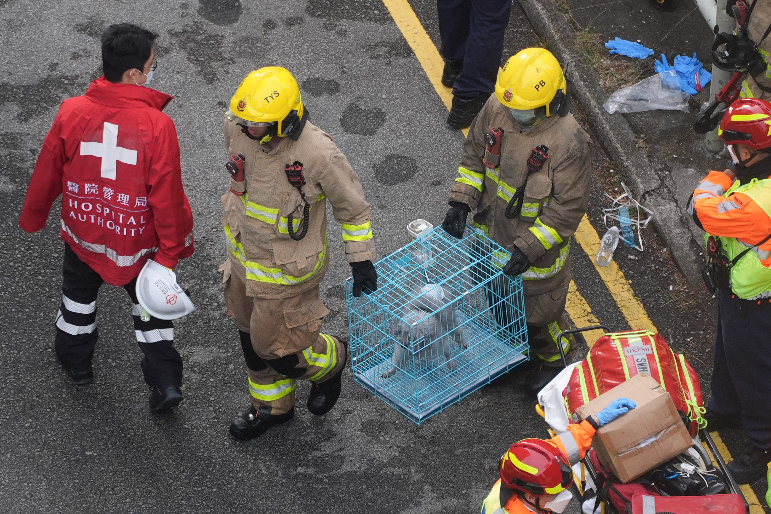 Pets are rescued by firefighters as four buildings are still engulfed in flames at Wang Fuk Court in Tai Po on November 27, a day after the fire broke out. Photo: Eugene Lee