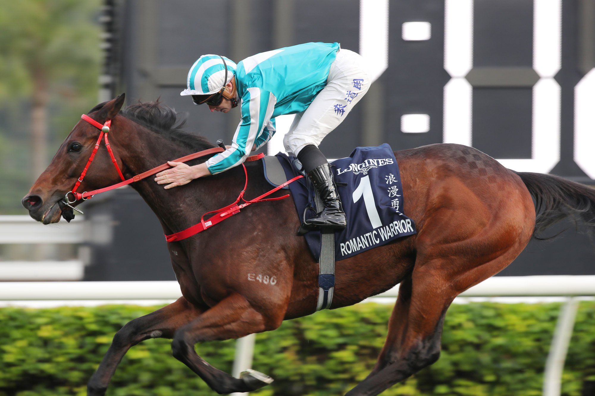 James McDonald gives Romantic Warrior a pat just after his Hong Kong Cup win.