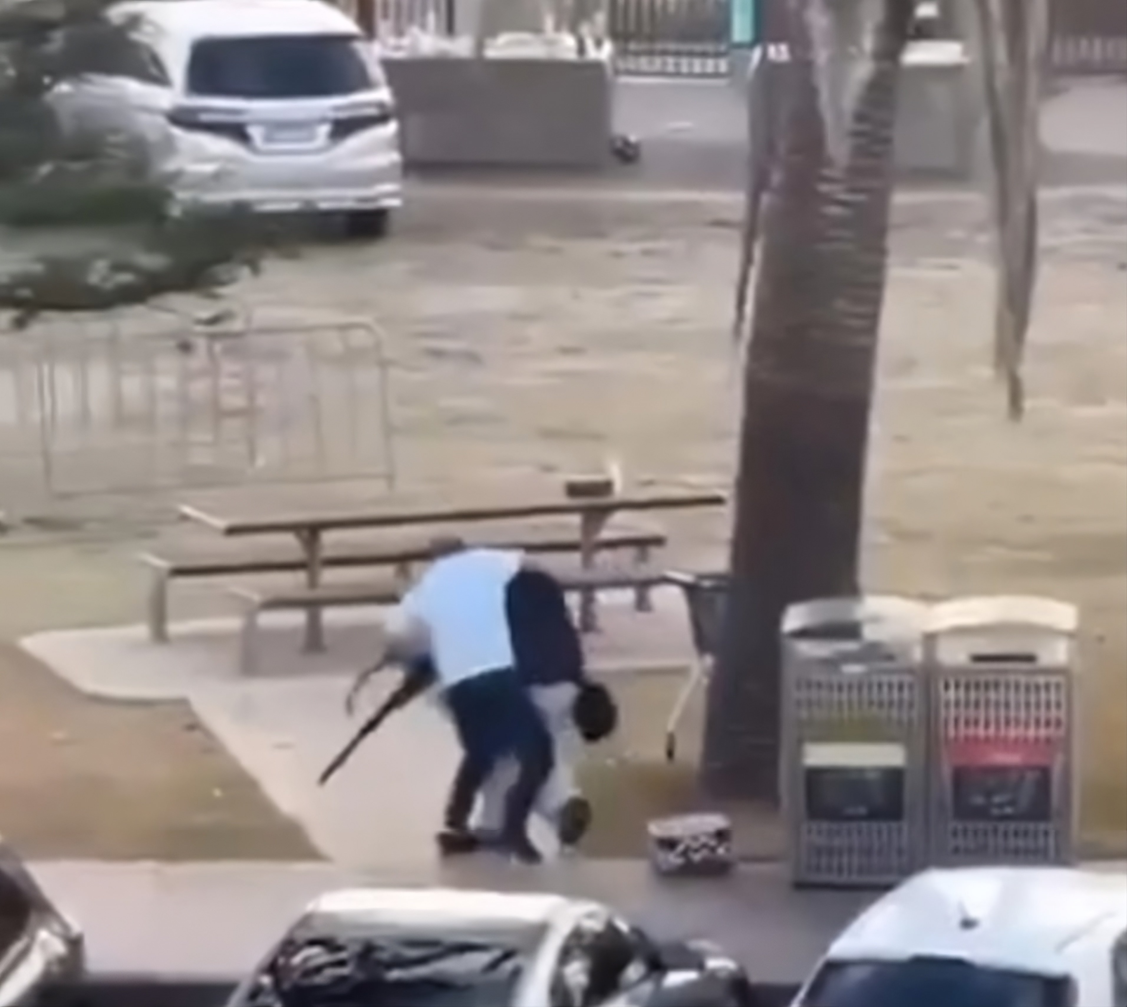 Ahmed al-Ahmed, 43, is seen tackling one of the Bondi gunmen in this screengrab from a social media video. Photo: X