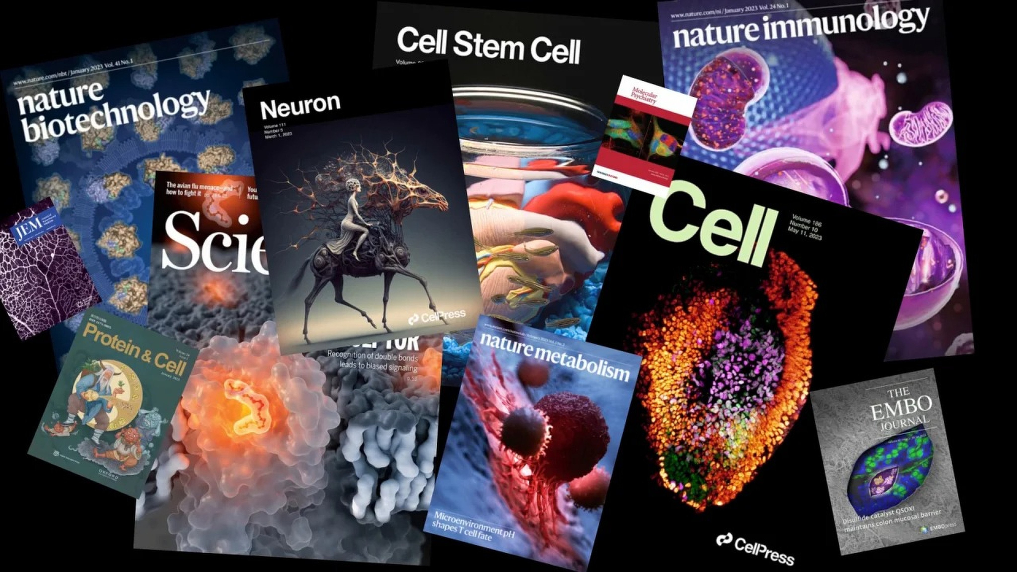 Chinese scientists are publishing a growing number of papers in top international journals and have led the world in research output since 2019. Photo: Handout