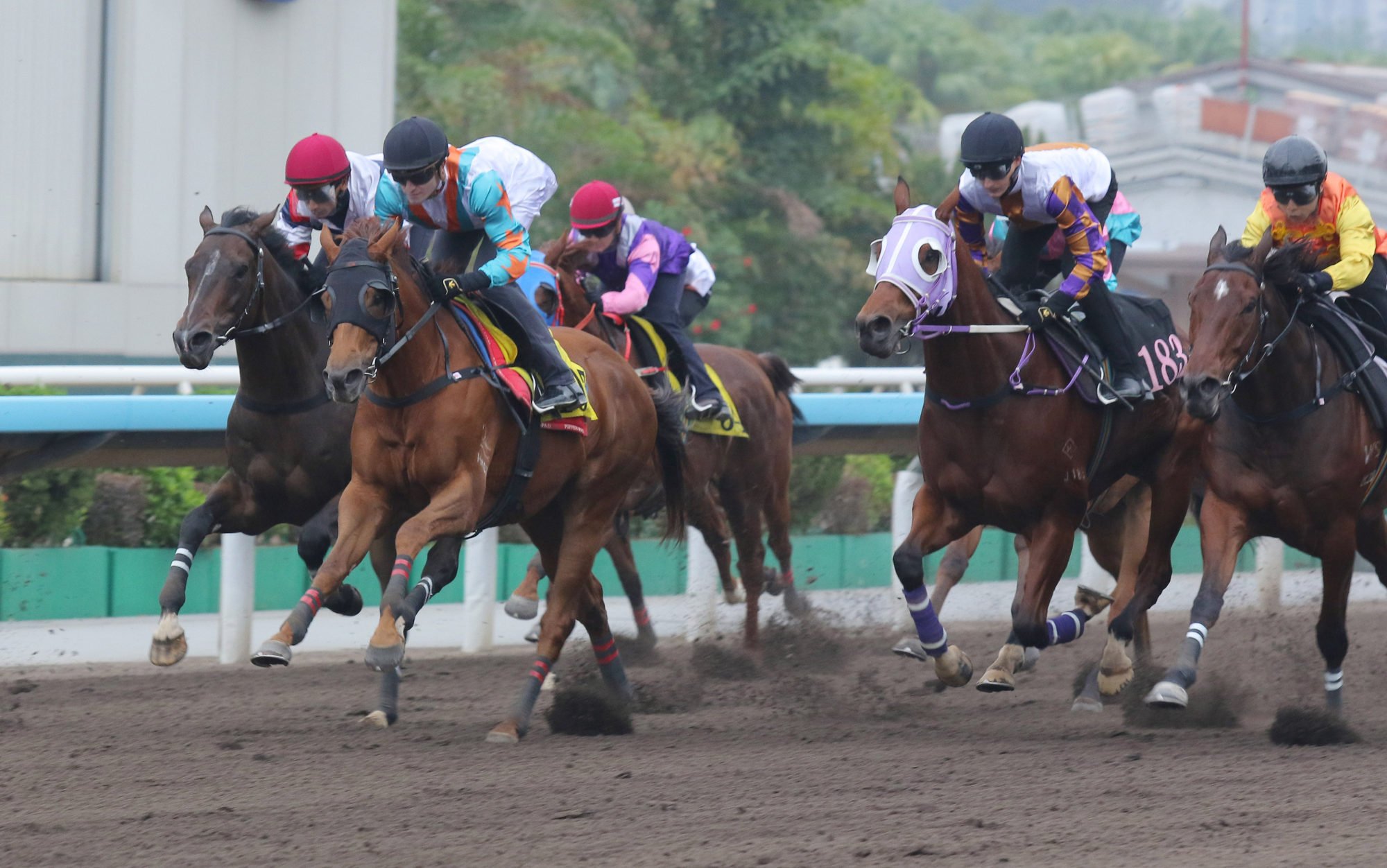 King Oberon trials at Sha Tin with Luke Ferraris aboard.