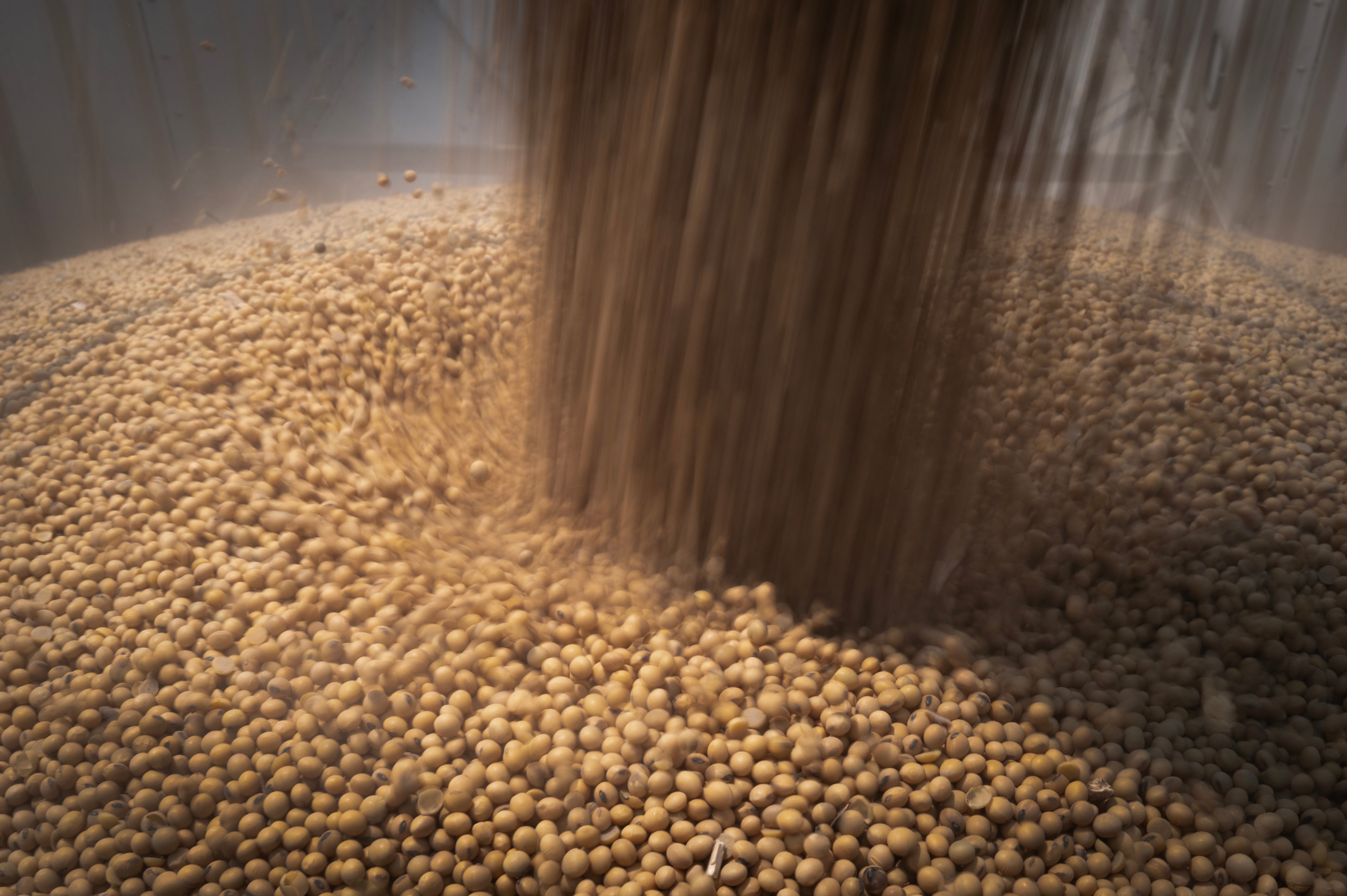 Soybeans are loaded into a truck in Dwight, Illinois, in August. Photo: Getty Images