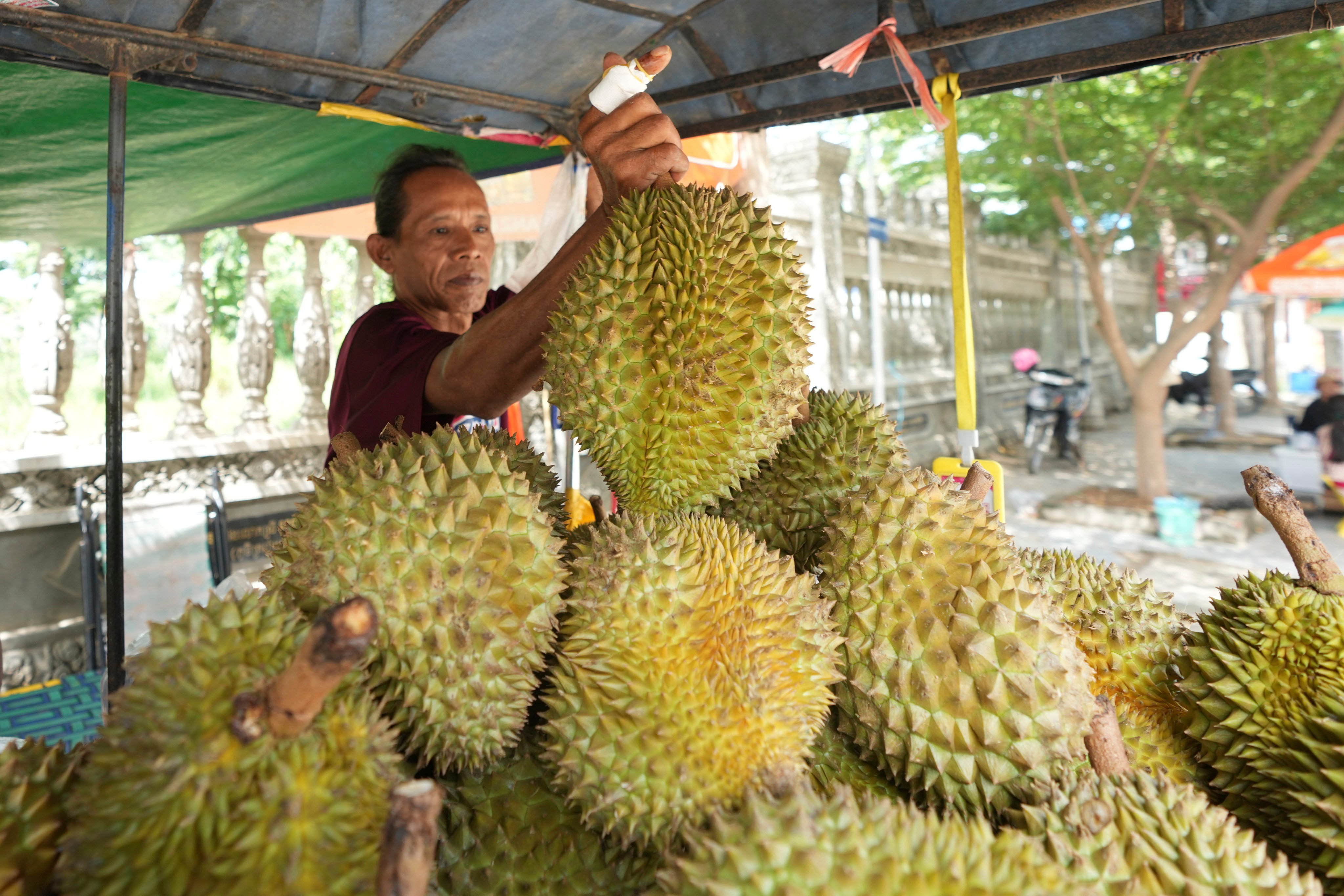 A local vendor sells durians at a stall near Phnom Penh, Cambodia. Several Southeast Asian nations including Cambodia export the fruit to China, which is the world’s largest buyer by far. Photo: AP