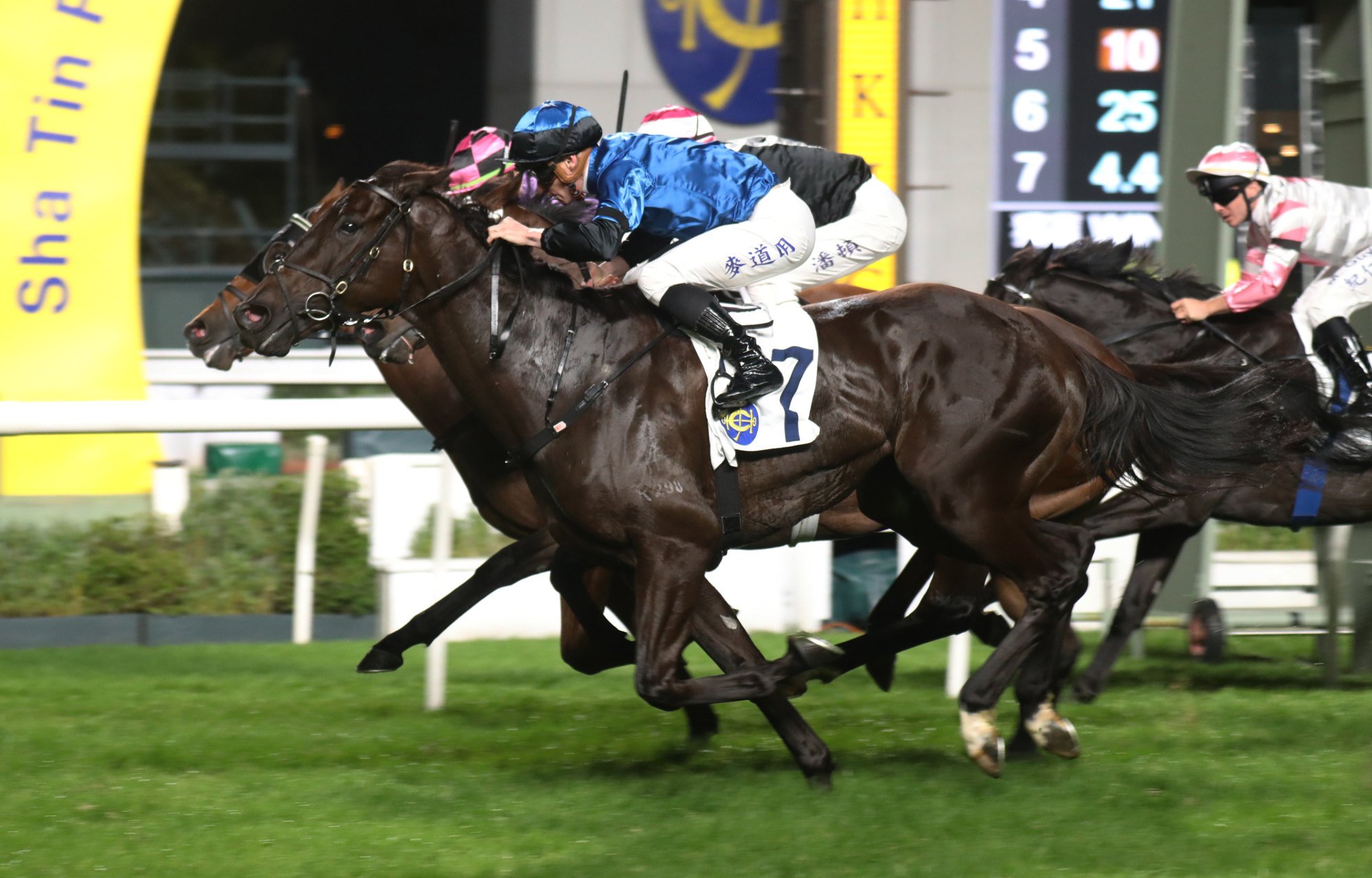 Dazzling Fit storms home down the outside to score last month.