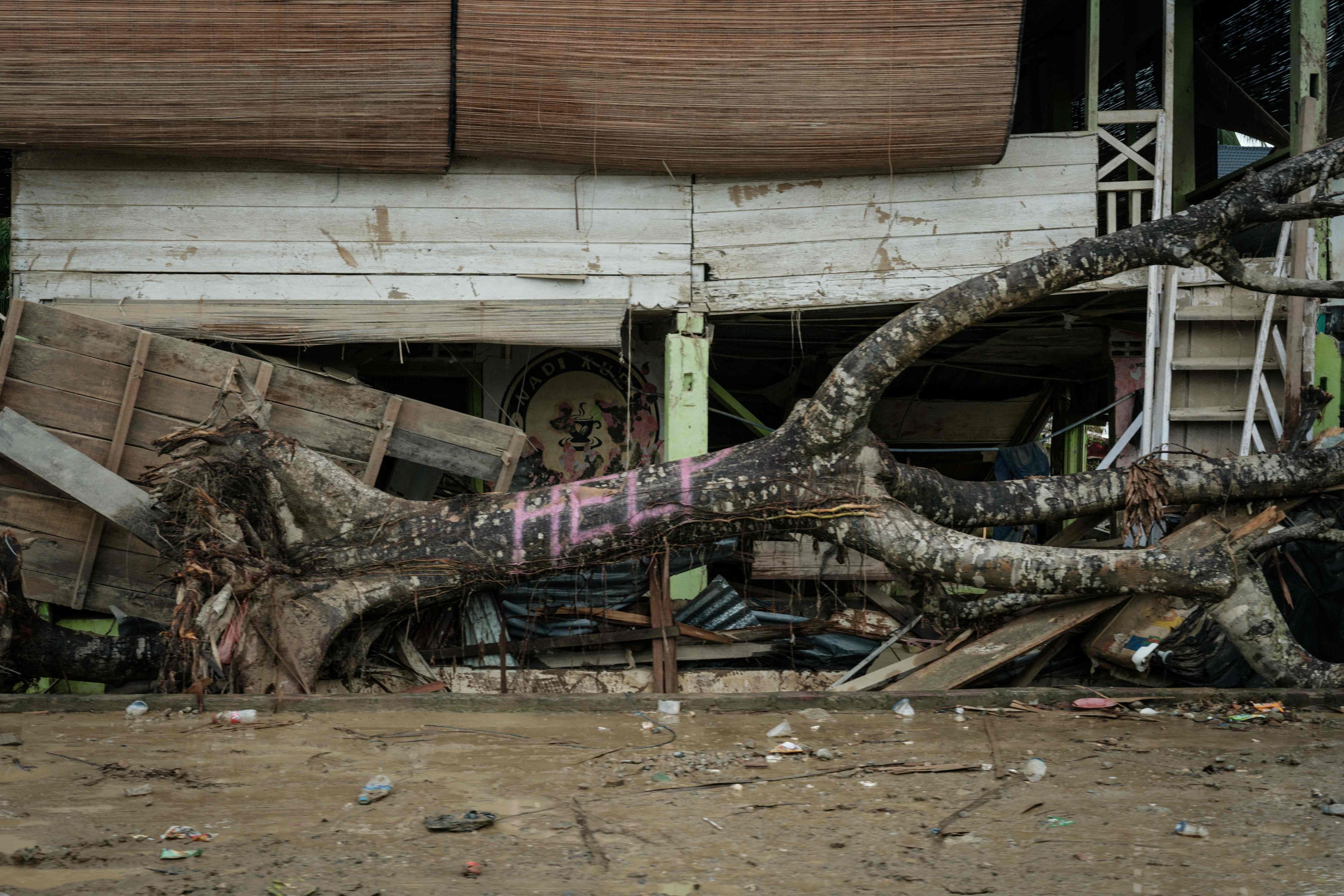 A fallen tree spray painted with “Help” lies among debris in Aceh Tamiang, northern Sumatra, on Tuesday in the aftermath of last month’s flash floods. Photo: AFP