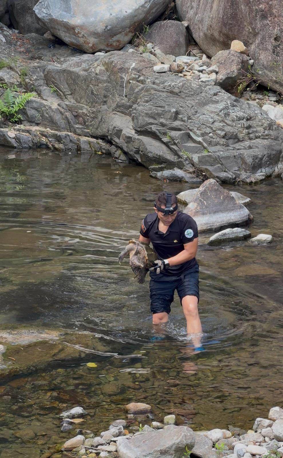 Bon Chan rescues abandoned pet turtles in Hong Kong. Photo: Handout