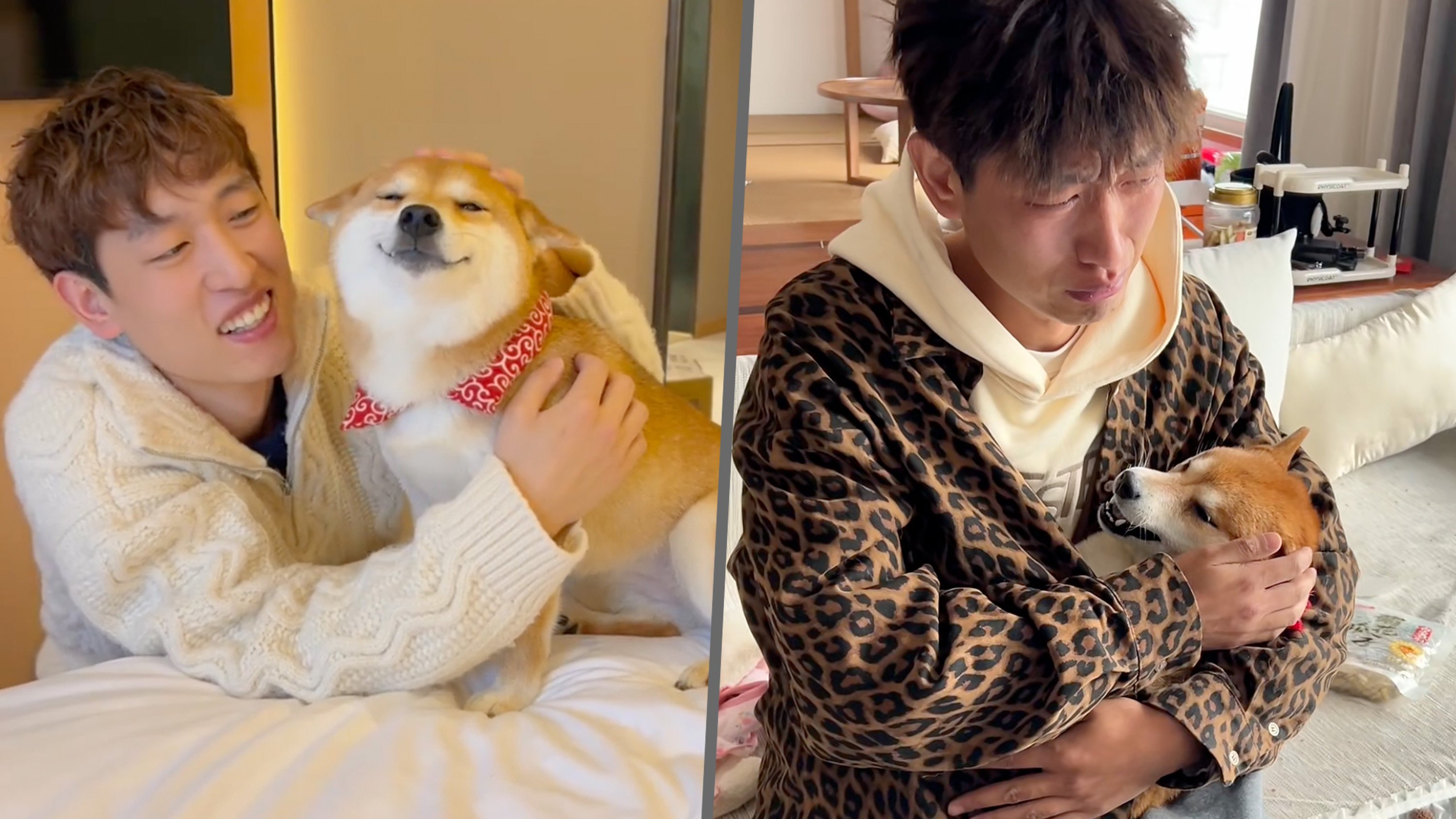 The owner of China’s popular “smiling Shiba Inu,” Peppa, who claimed the dog died from poisoning in a village has faced a backlash for exploiting the canine’s death for views. Photo: SCMP composite/RedNote