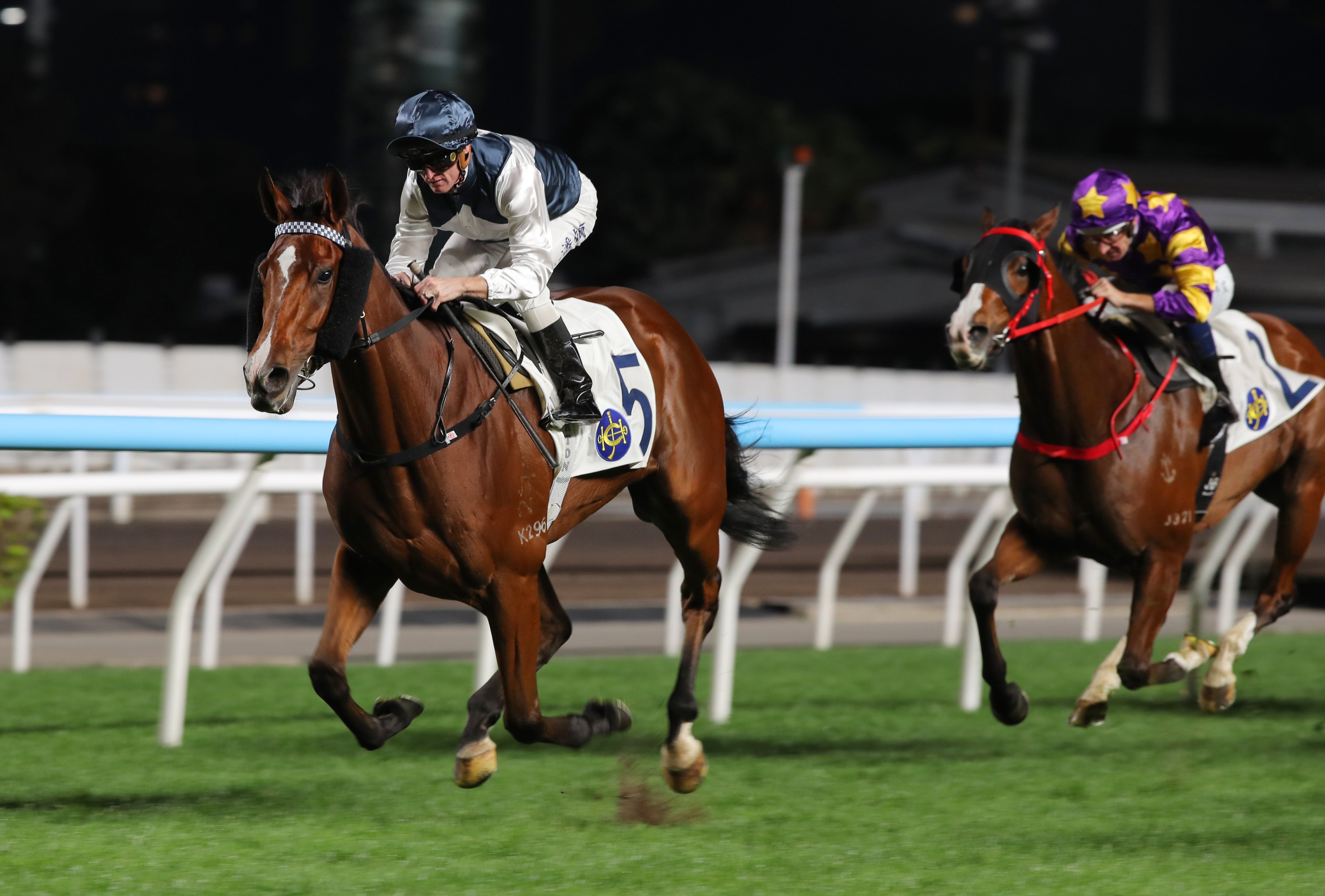Invincible Ibis saunters to success at Sha Tin. Photos: Kenneth Chan
