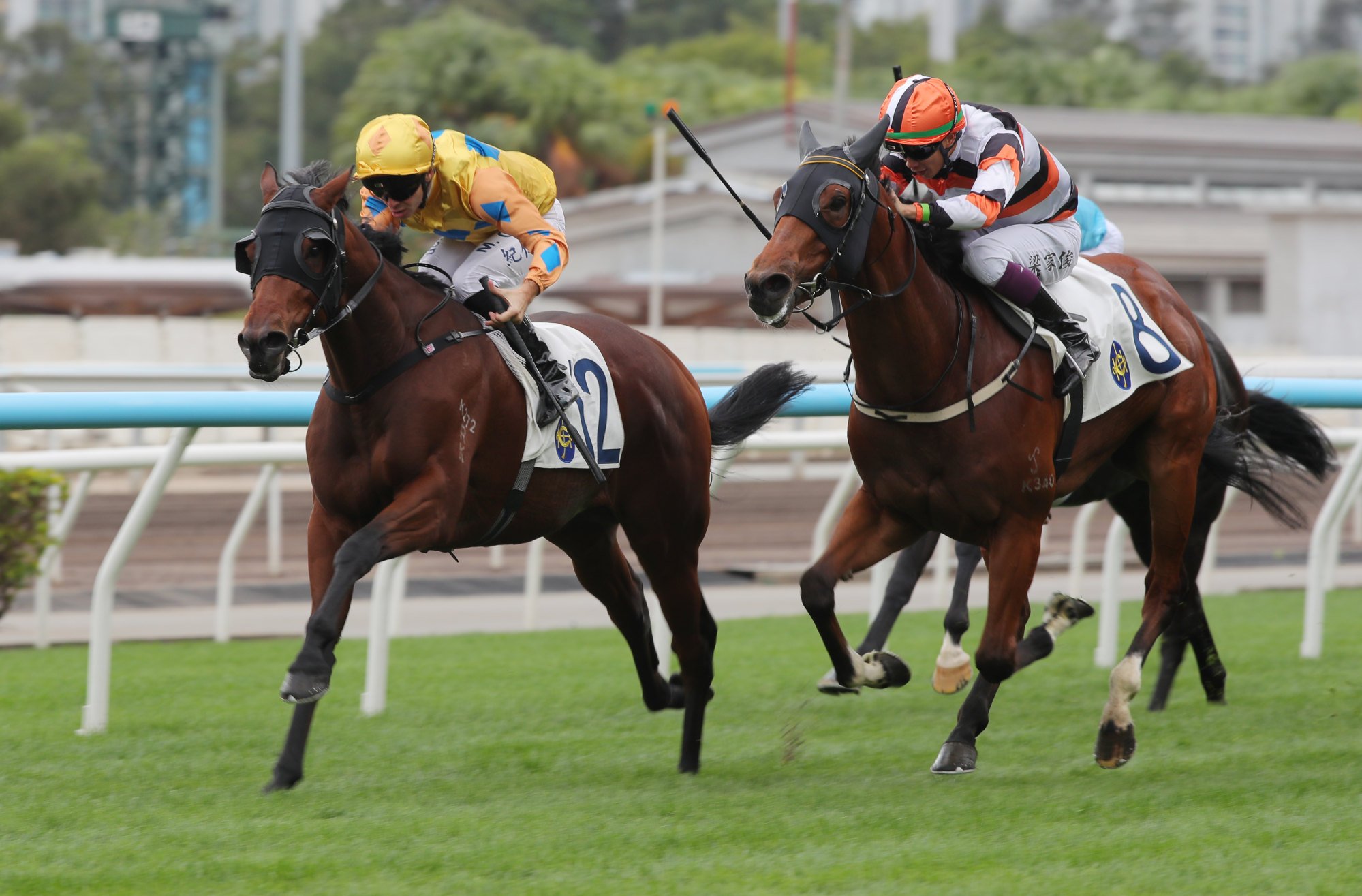 Glaciated and Maxime Guyon win at Sha Tin.