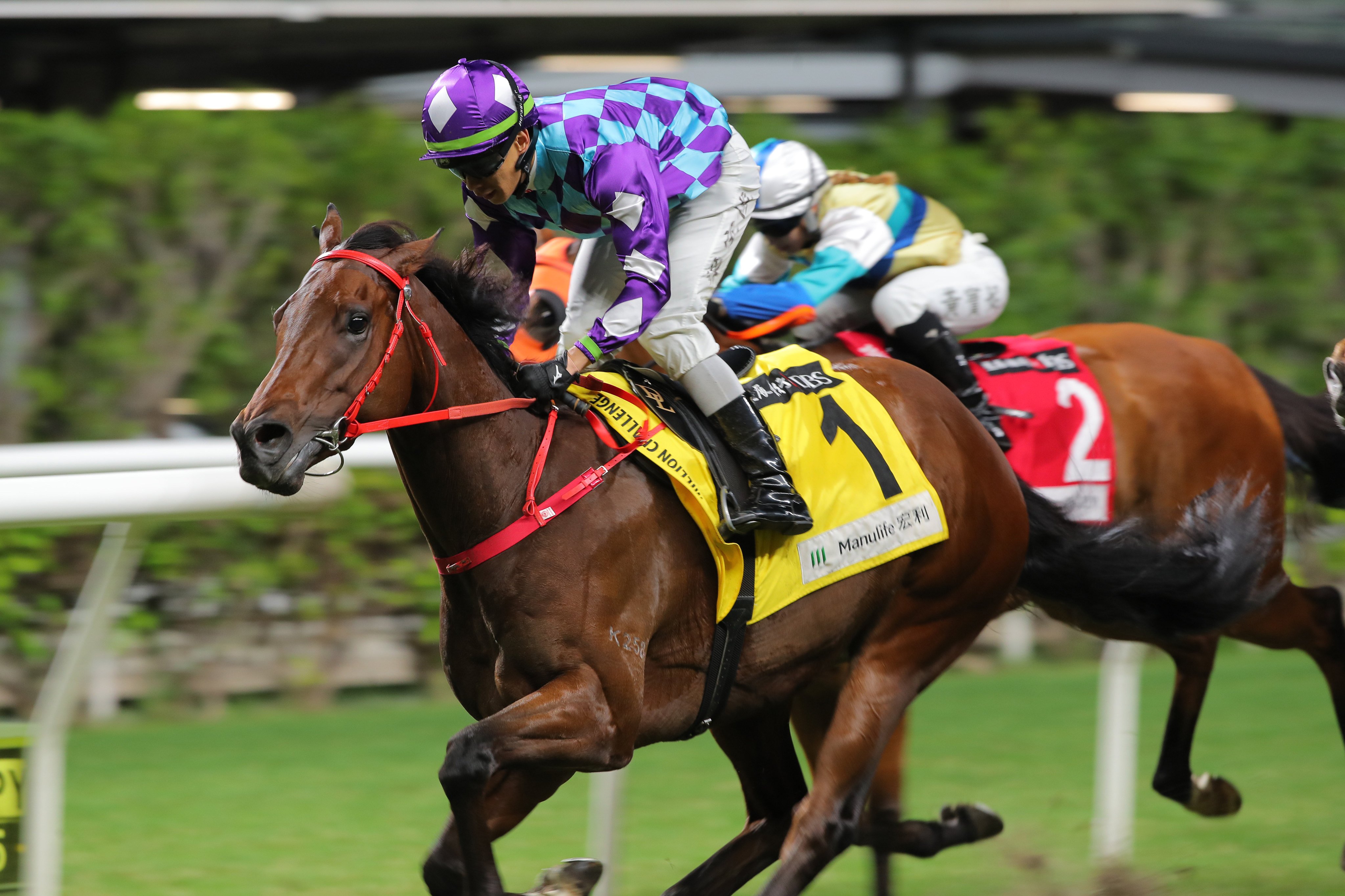 Regal Gem wins at Happy Valley in November. Photos: Kenneth Chan