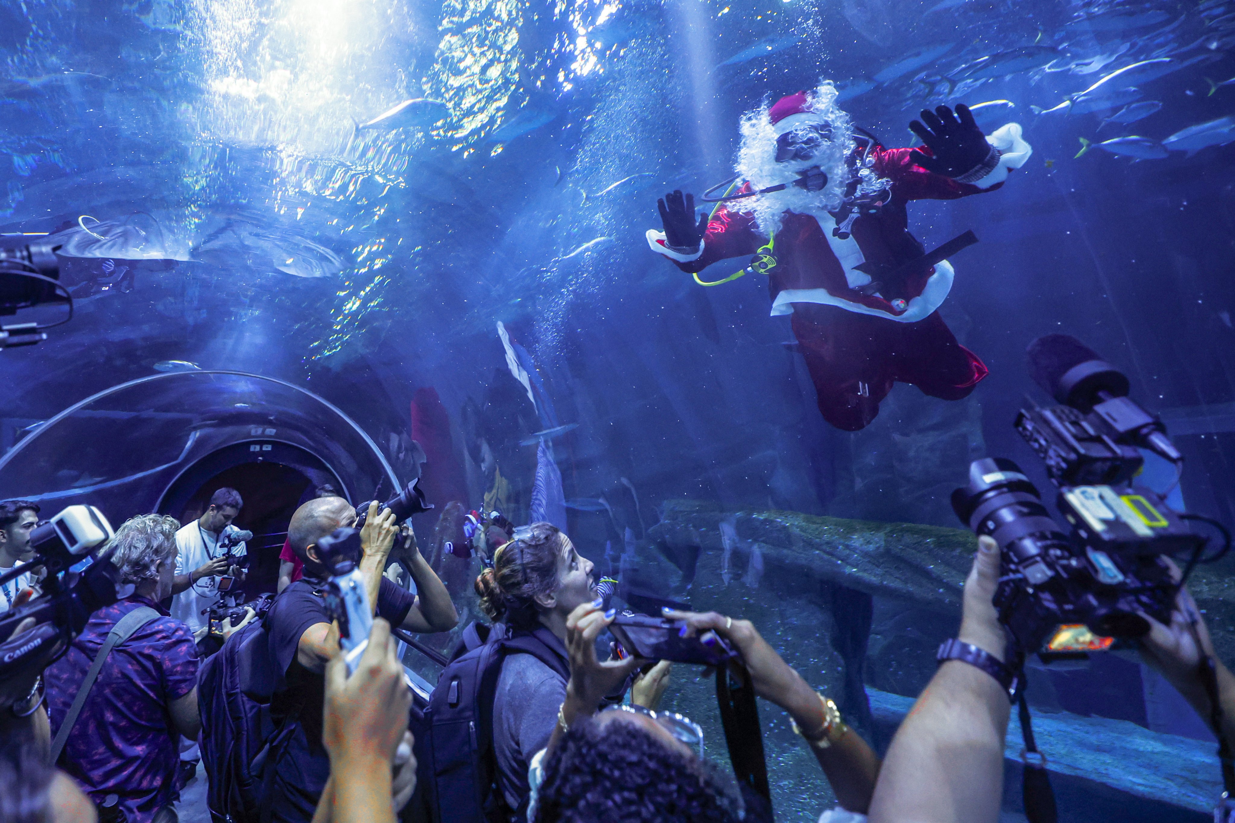 A person dressed as Santa Claus dives with sharks, rays, and fish at the AquaRio aquarium in Rio de Janeiro, Brazil. Photo: EPA