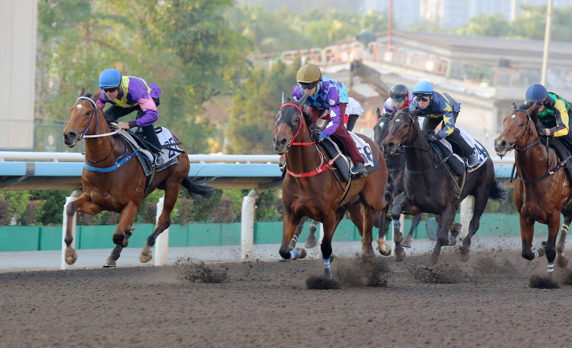 Regal Gem (centre) trials at Sha Tin this month. Regal Gem (centre) trials at Sha Tin this month.